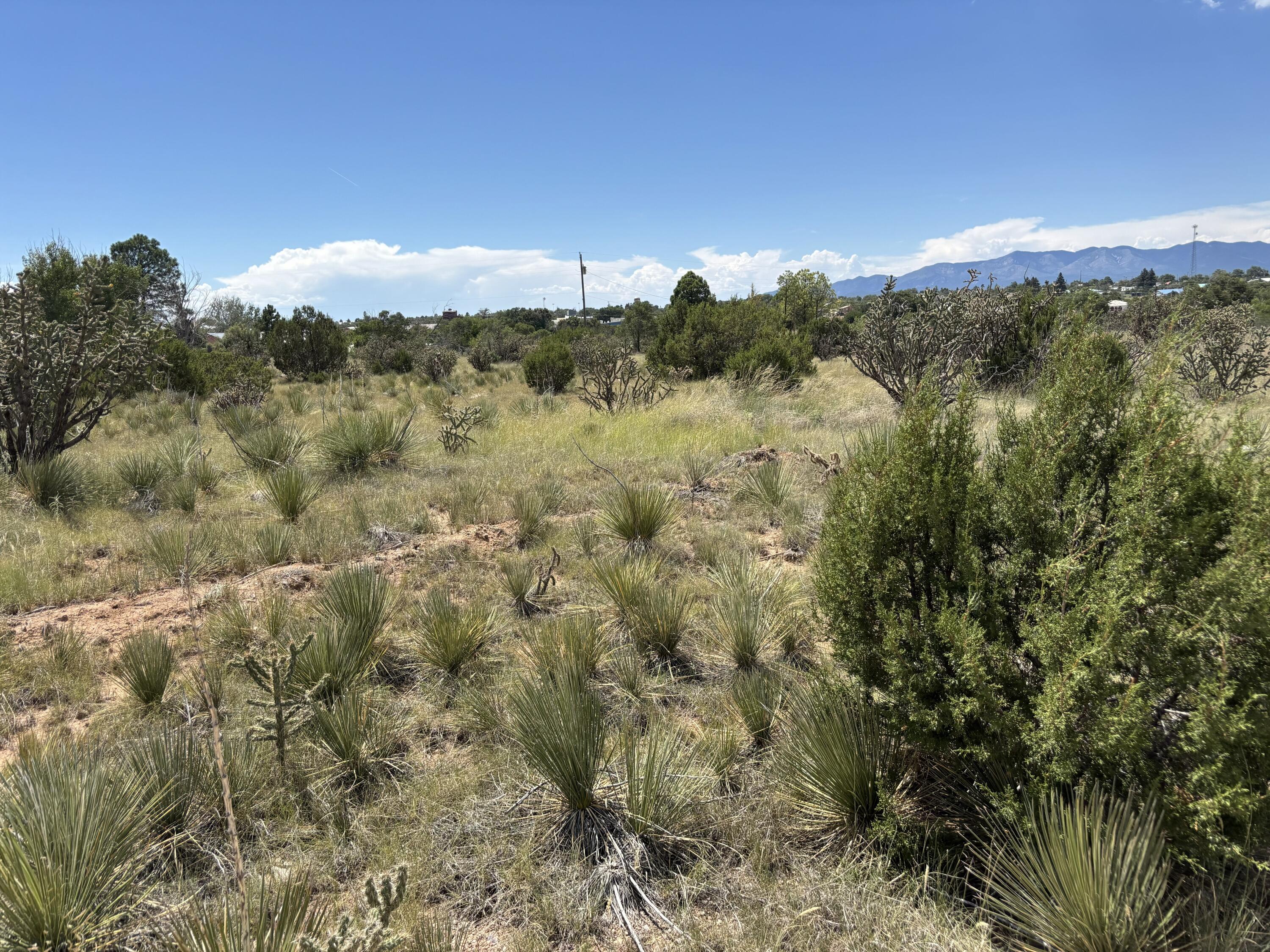 Homes for sale in Mountainair, NM | 3 Monte Alto Ave, Mountainair, NM 87036 | MLS# 1092897