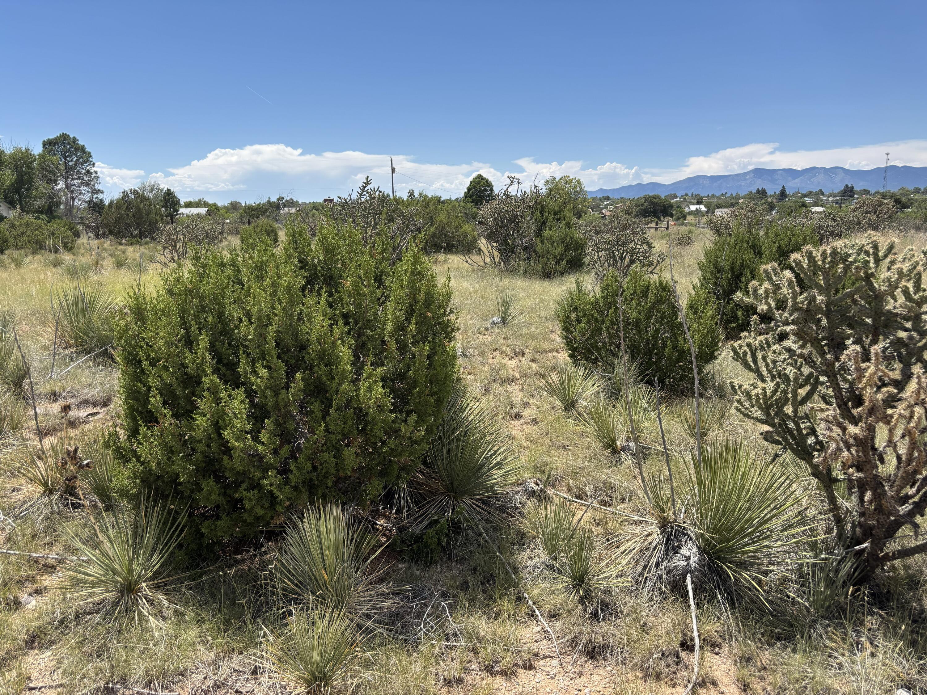 Homes for sale in Mountainair, NM | 3 Monte Alto Ave, Mountainair, NM 87036 | MLS# 1092897