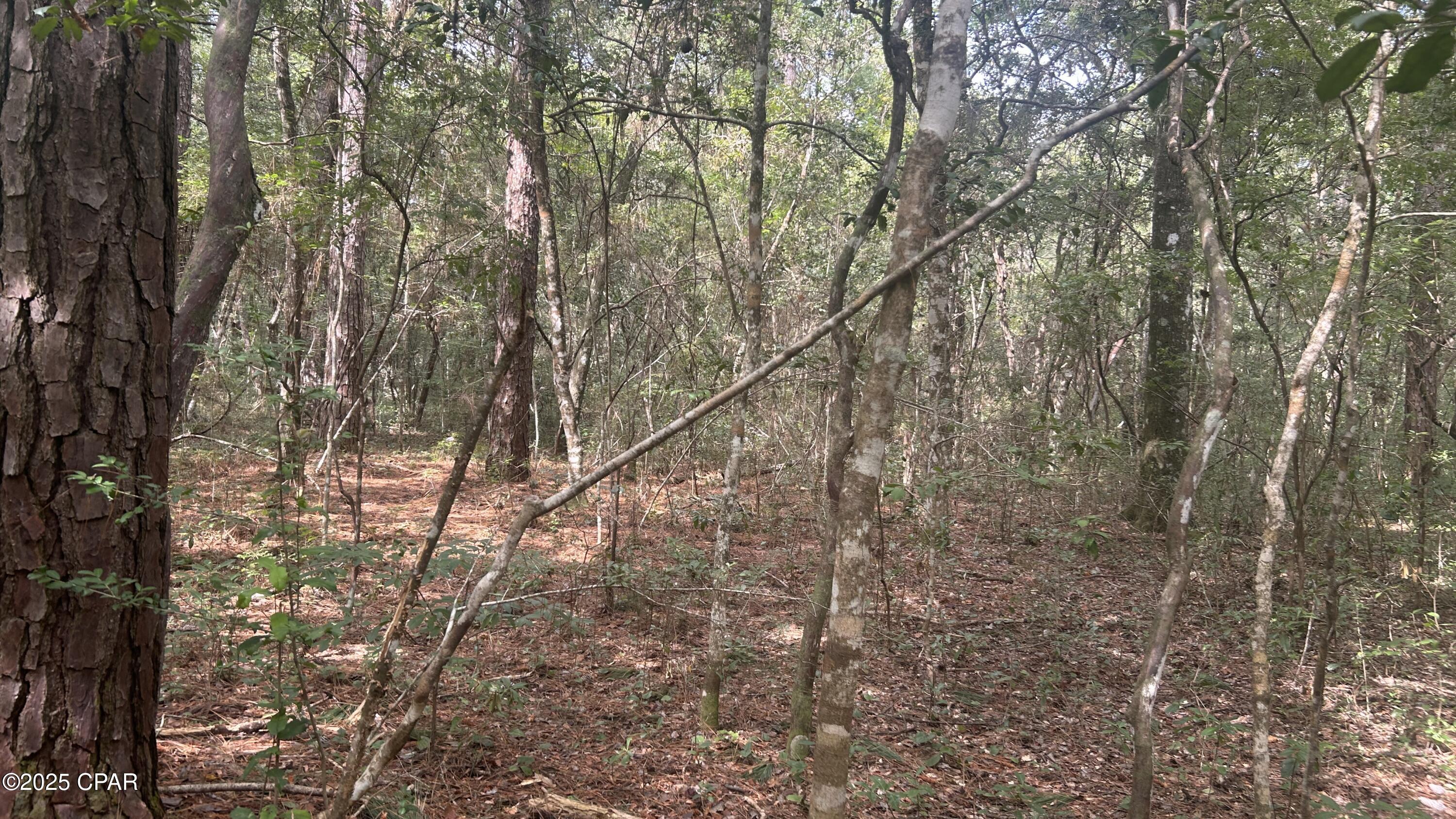 Image 10 For 0 Strickland Road