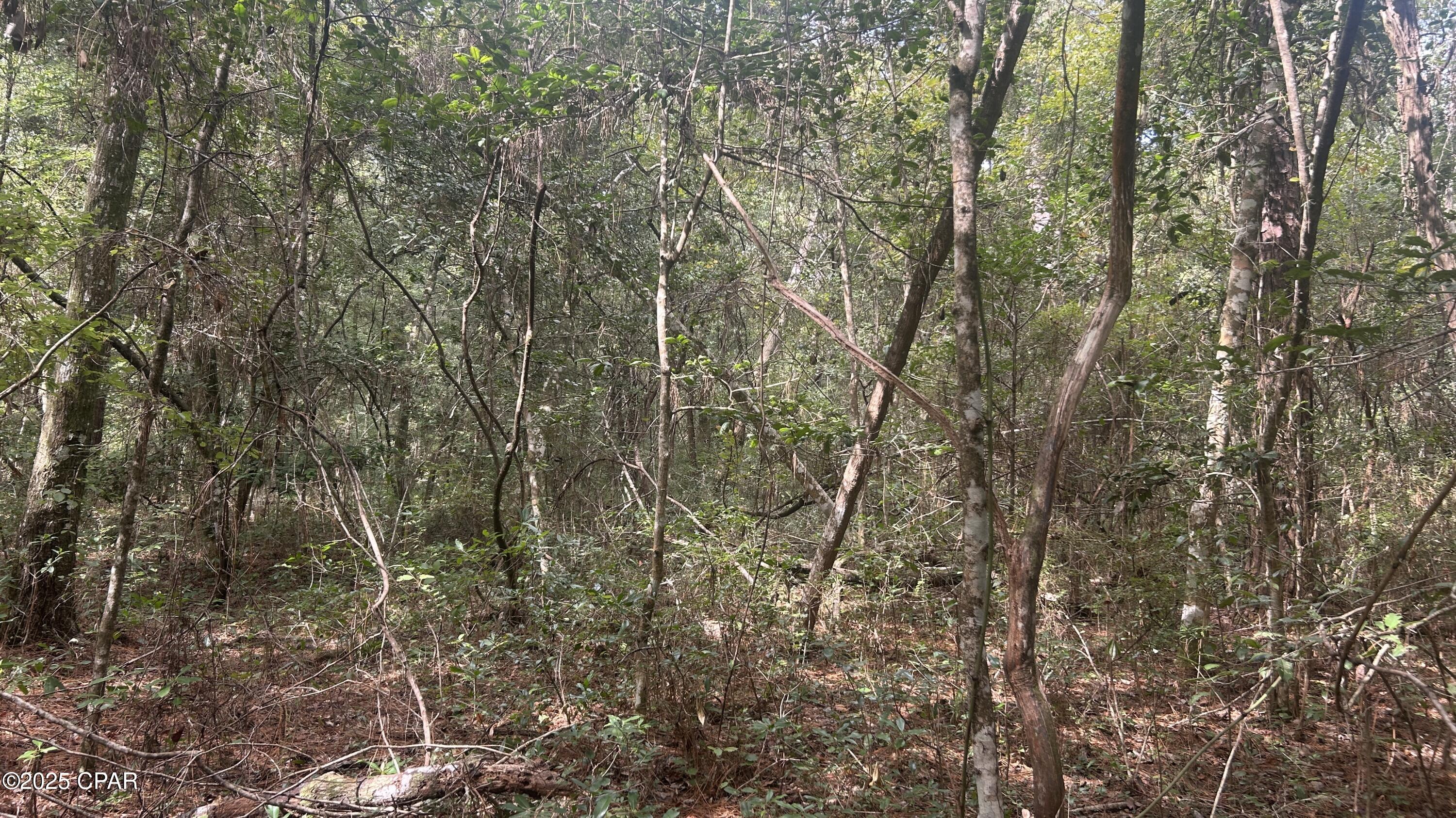 Image 12 For 0 Strickland Road