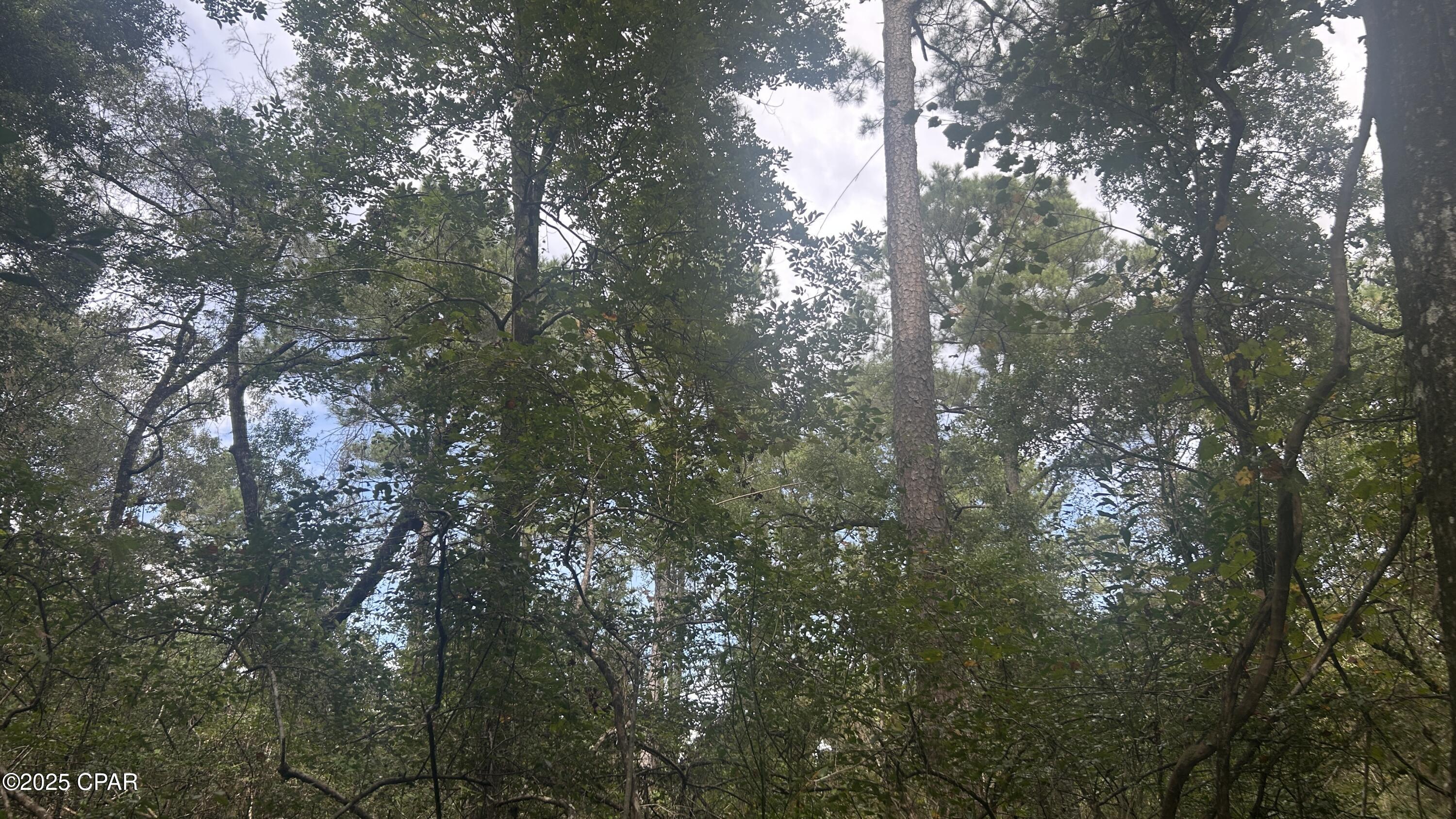 Image 13 For 0 Strickland Road