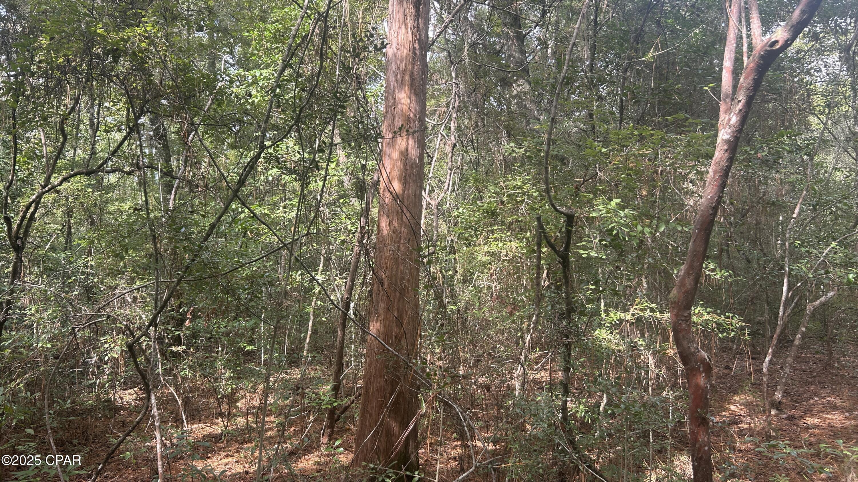 Image 14 For 0 Strickland Road