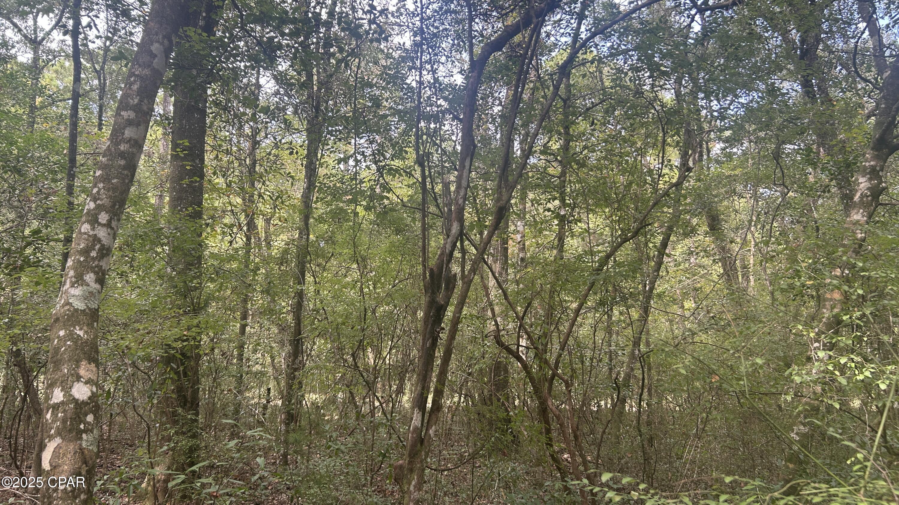 Image 15 For 0 Strickland Road