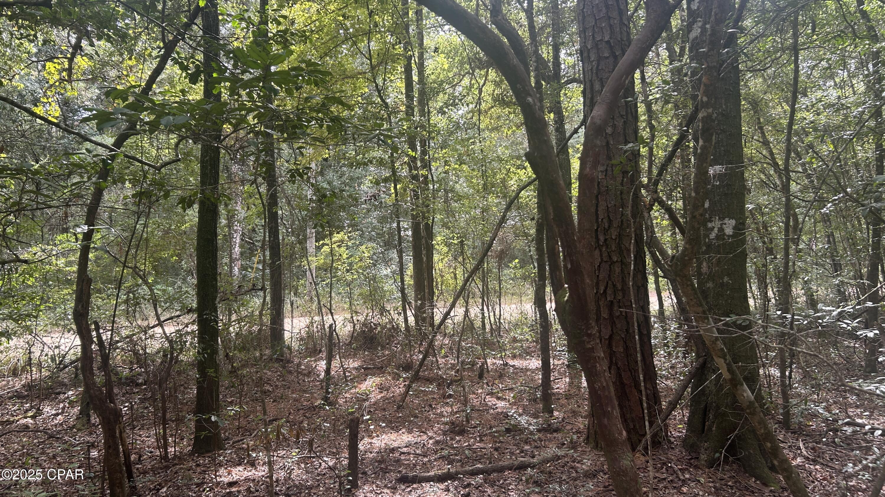 Image 16 For 0 Strickland Road