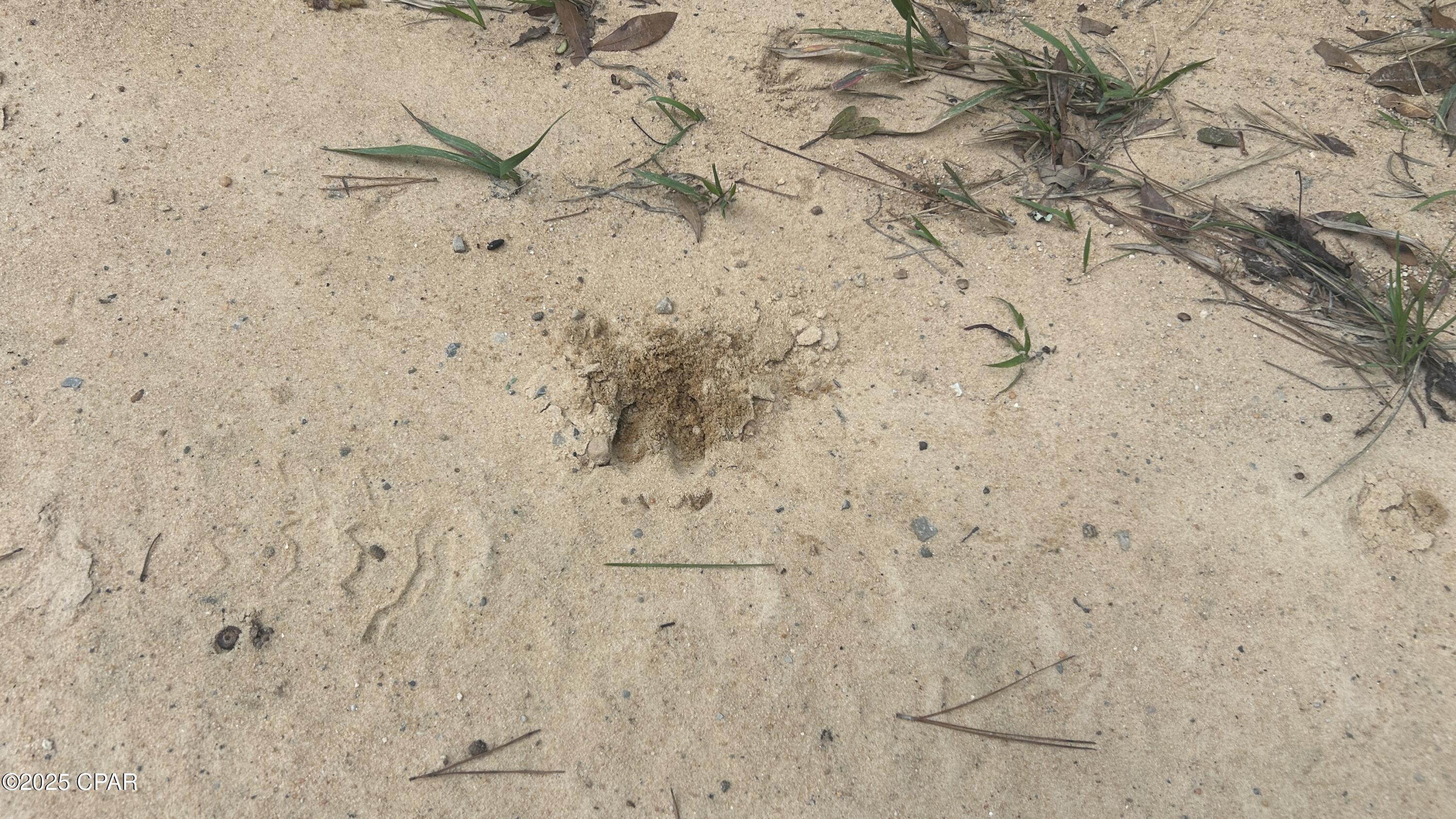 Image 17 For 0 Strickland Road