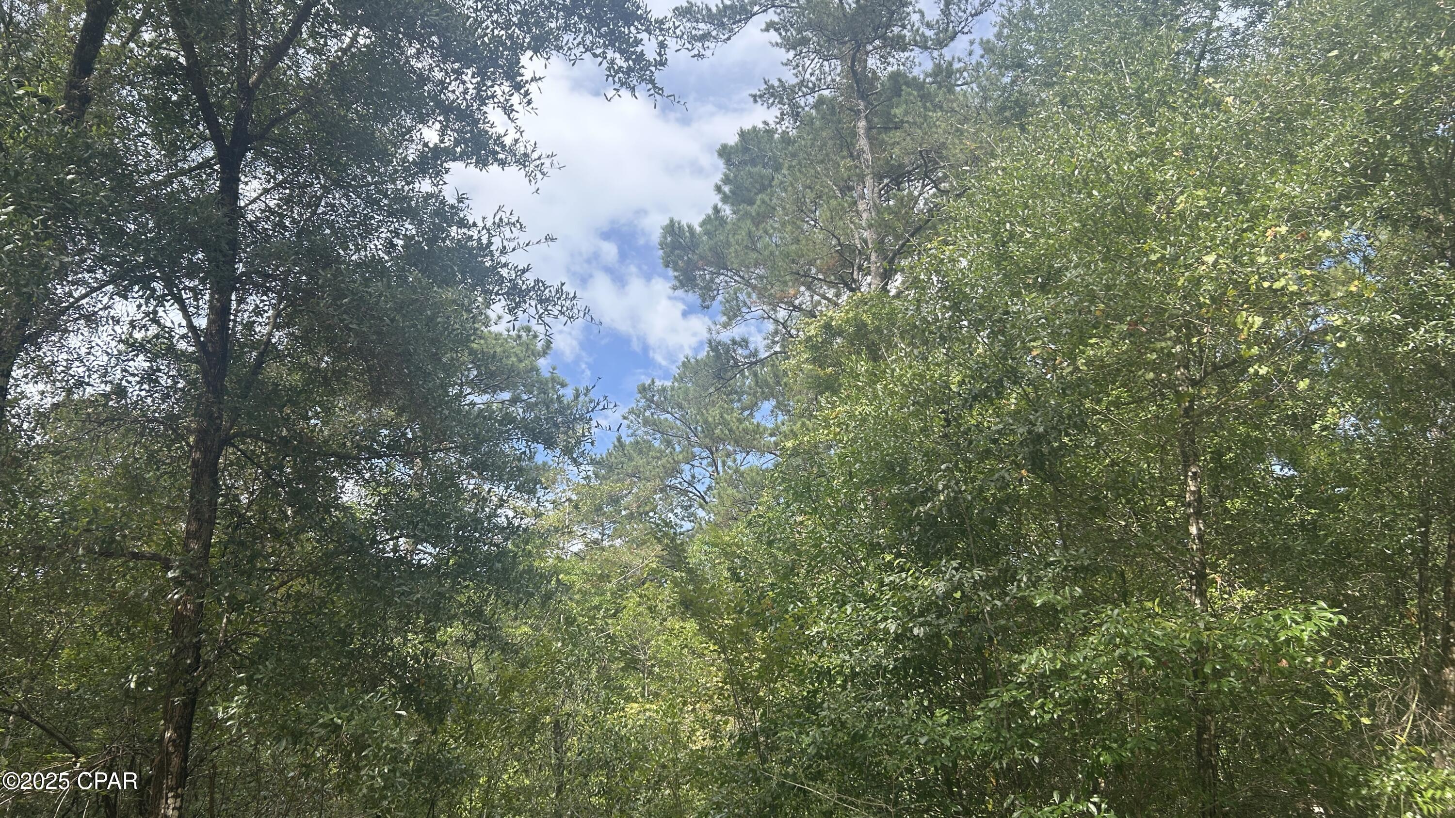 Image 4 For 0 Strickland Road