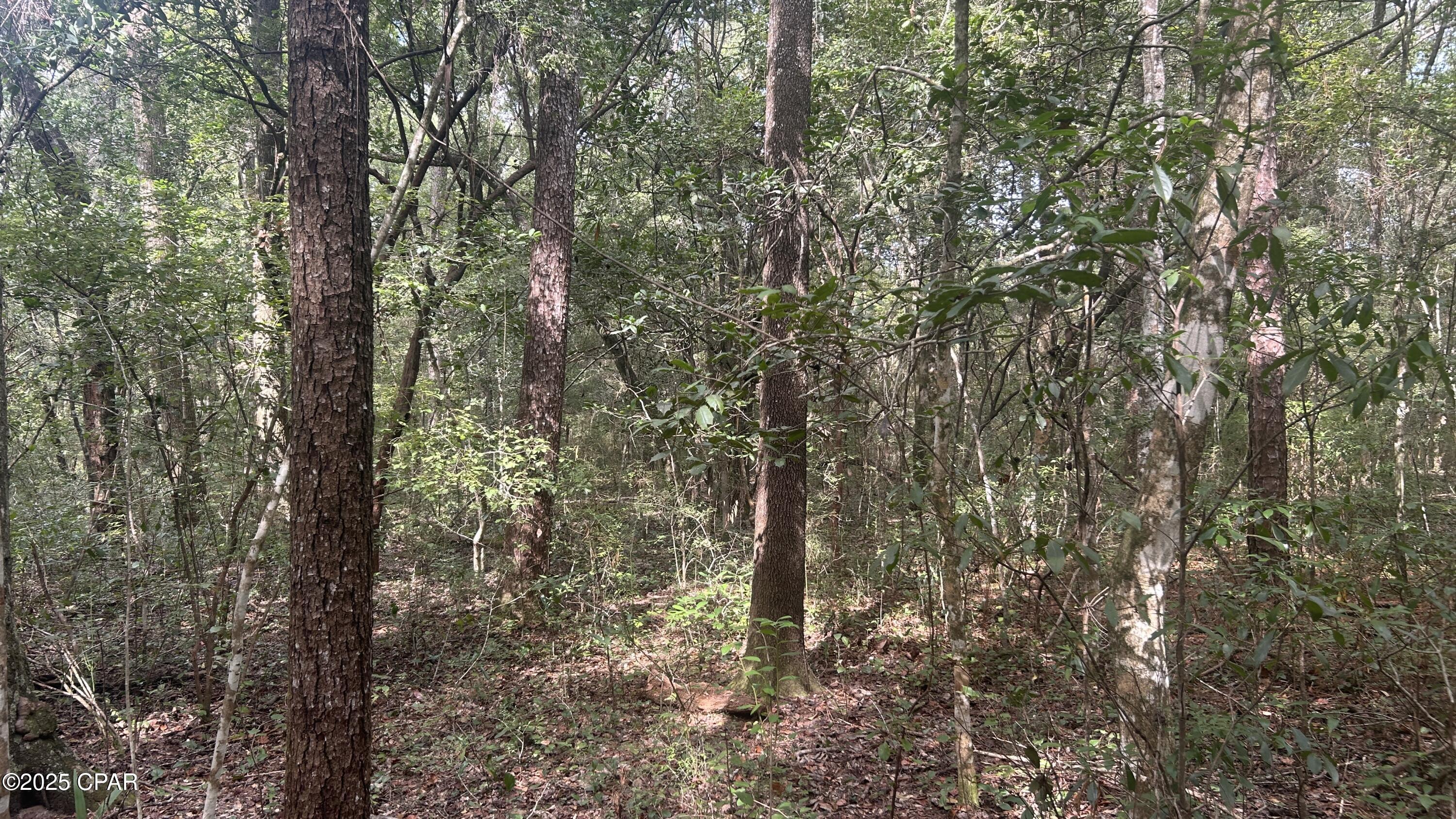 Image 5 For 0 Strickland Road