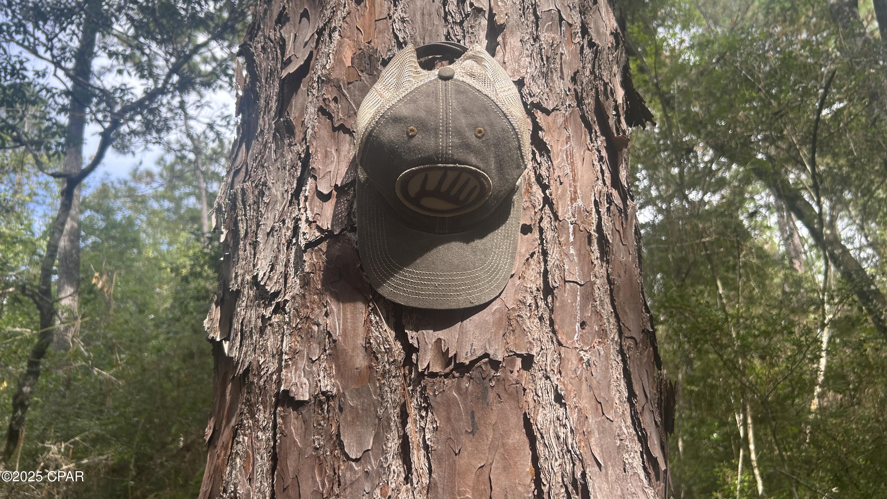 Image 7 For 0 Strickland Road