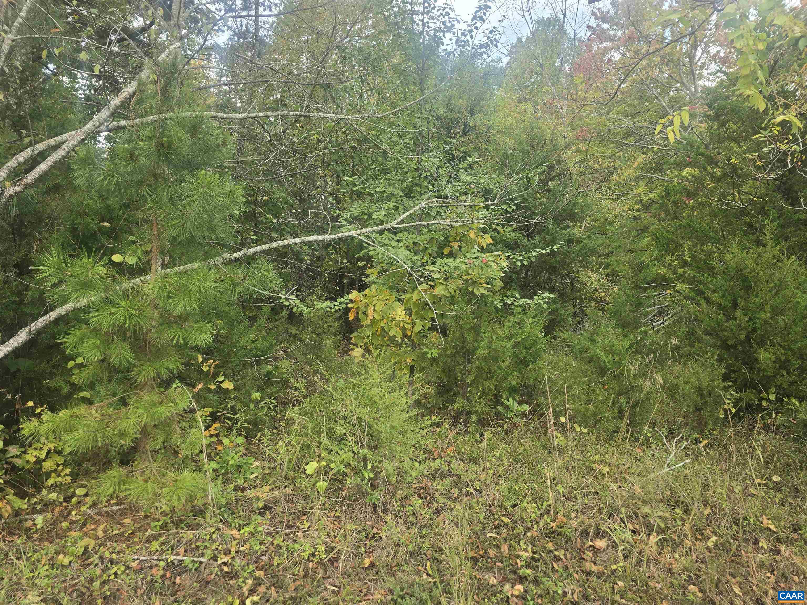 1337 Salem Church Rd