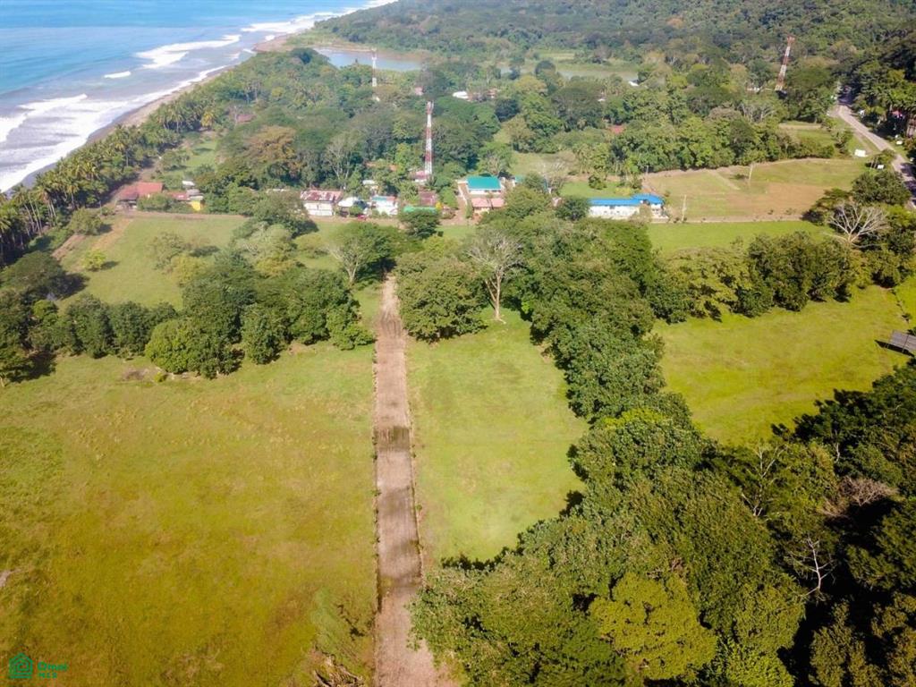 0 bed Land For Sale in Osa, Puntarenas - 1