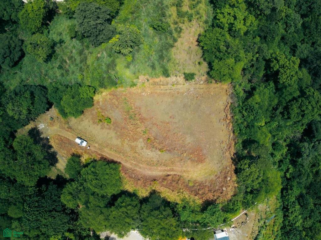 0 bed Land For Sale in Carrillo, Guanacaste - 1