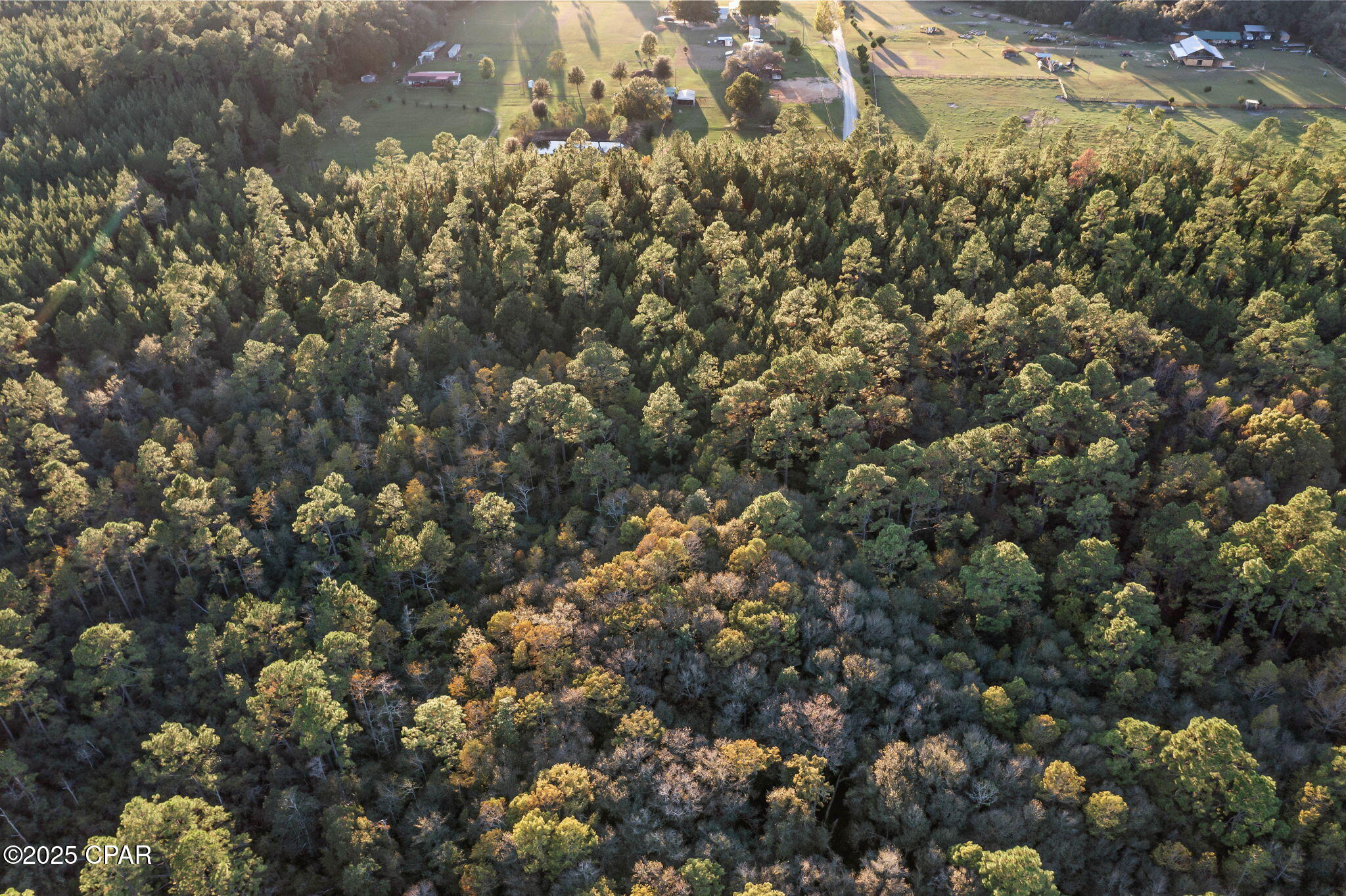 Image 17 For Xxx Parrish Still Road