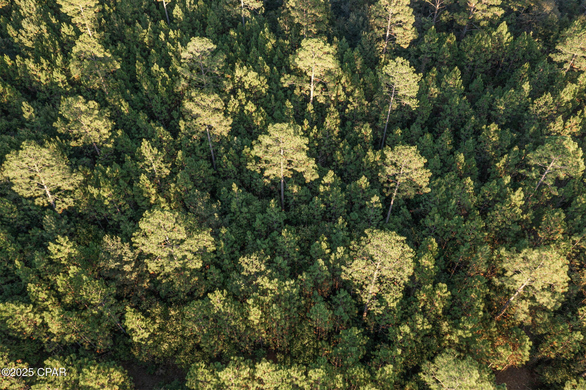 Image 4 For Xxx Parrish Still Road