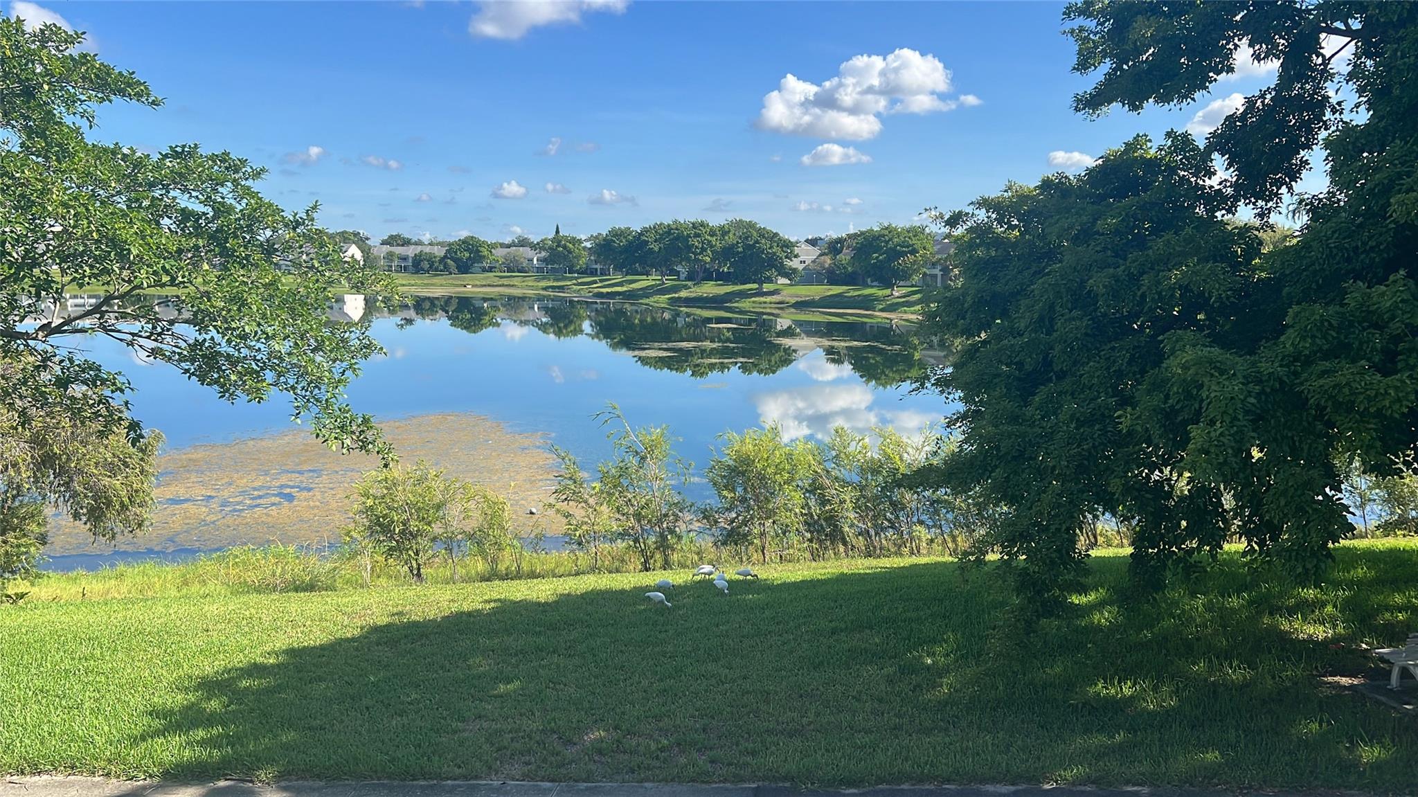 Homes for sale in Lauderdale Lakes, FL | 3421 Nw 44Th St #205, Lauderdale Lakes, FL 33309 | MLS# F10531721