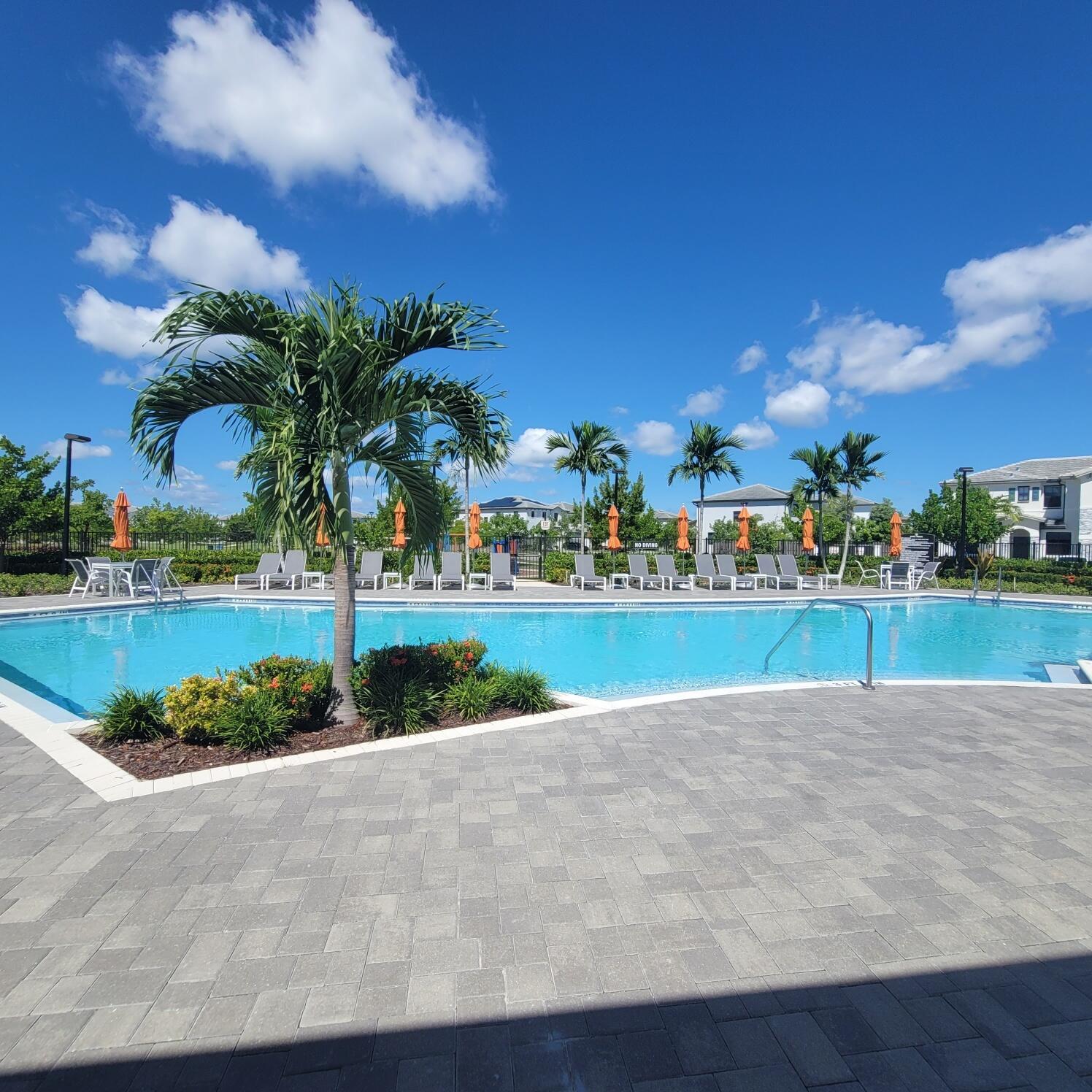 Pine Ilse- Pine Vista