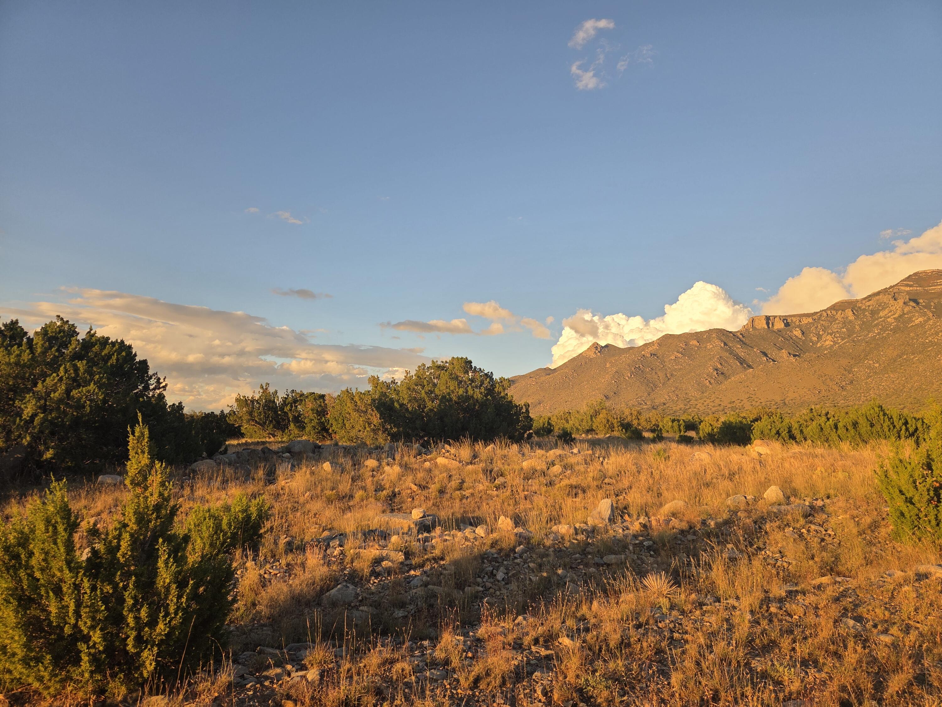 Homes for sale in Los Lunas, NM | Rdo L2b2u51 L3b2u51 L3b73u37, Los Lunas, NM 87031 | MLS# 1092946