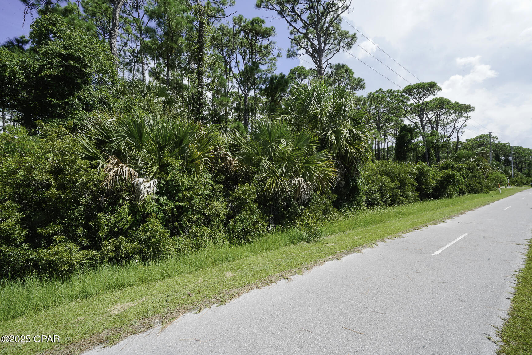 Image 3 For Tbd Cape San Blas Rd