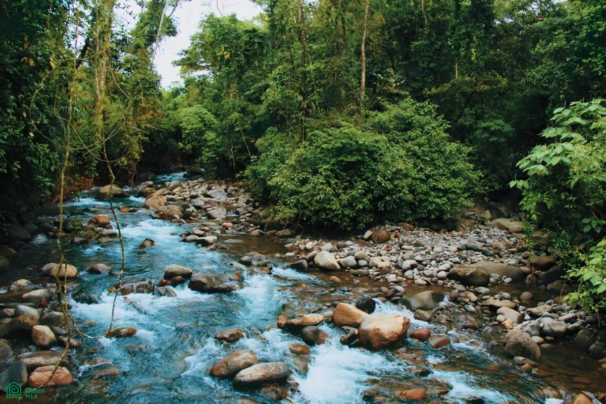 0 bed Land For Sale in Aguas Zarcas, Alajuela - 1