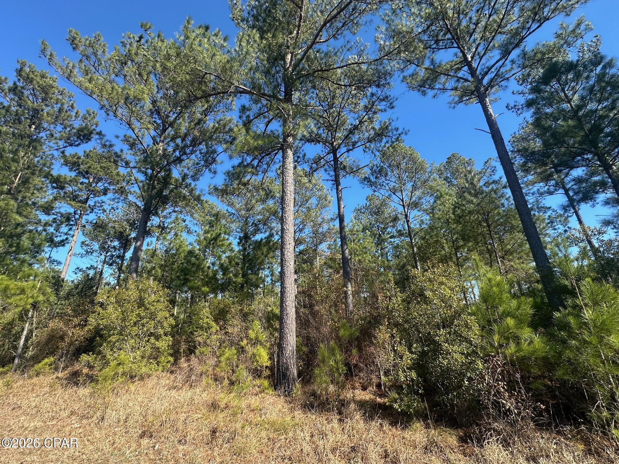 Details for 000 River Road, Sneads, FL 32460