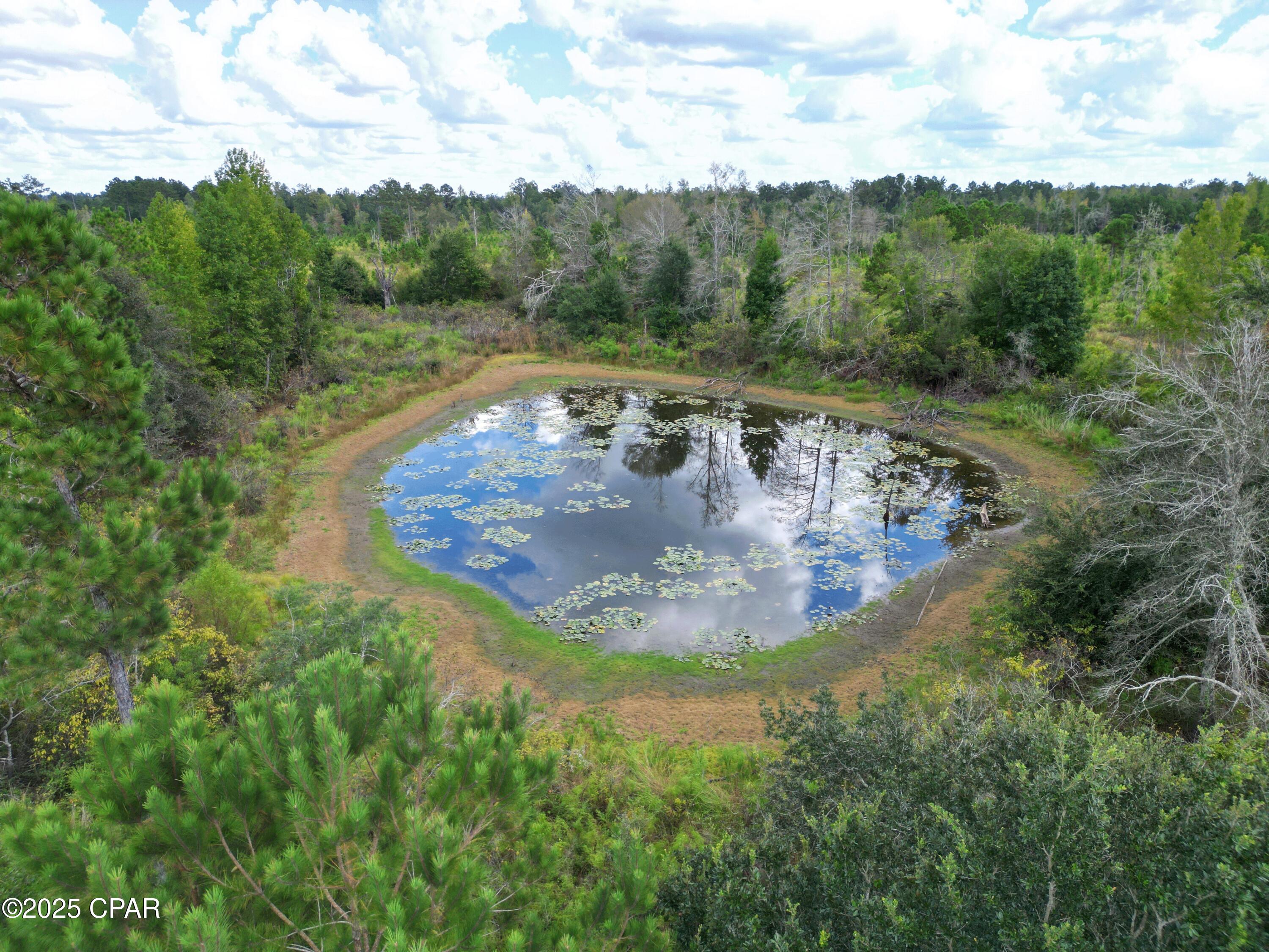 Image 10 For 000 River Road