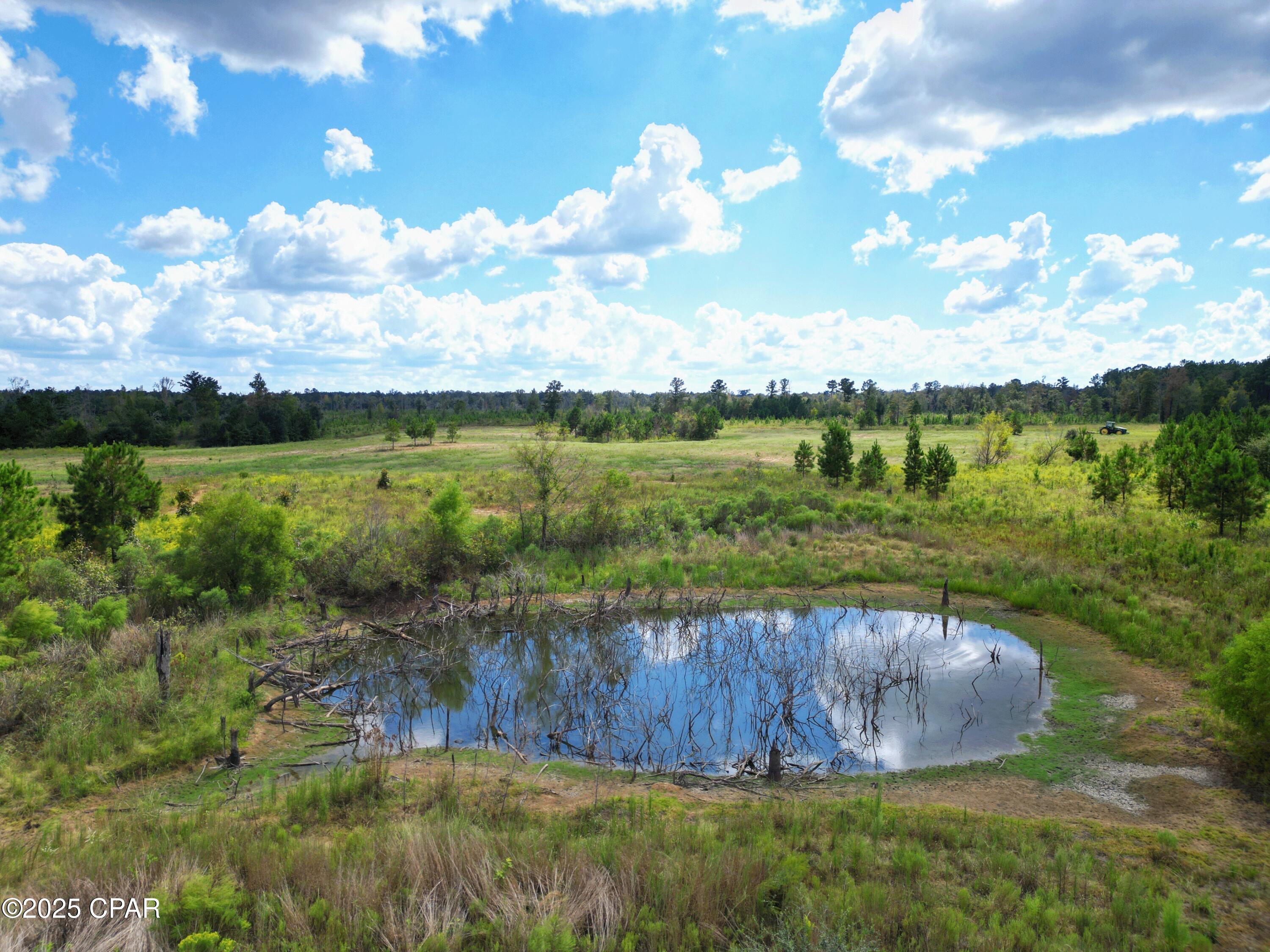 Image 11 For 000 River Road
