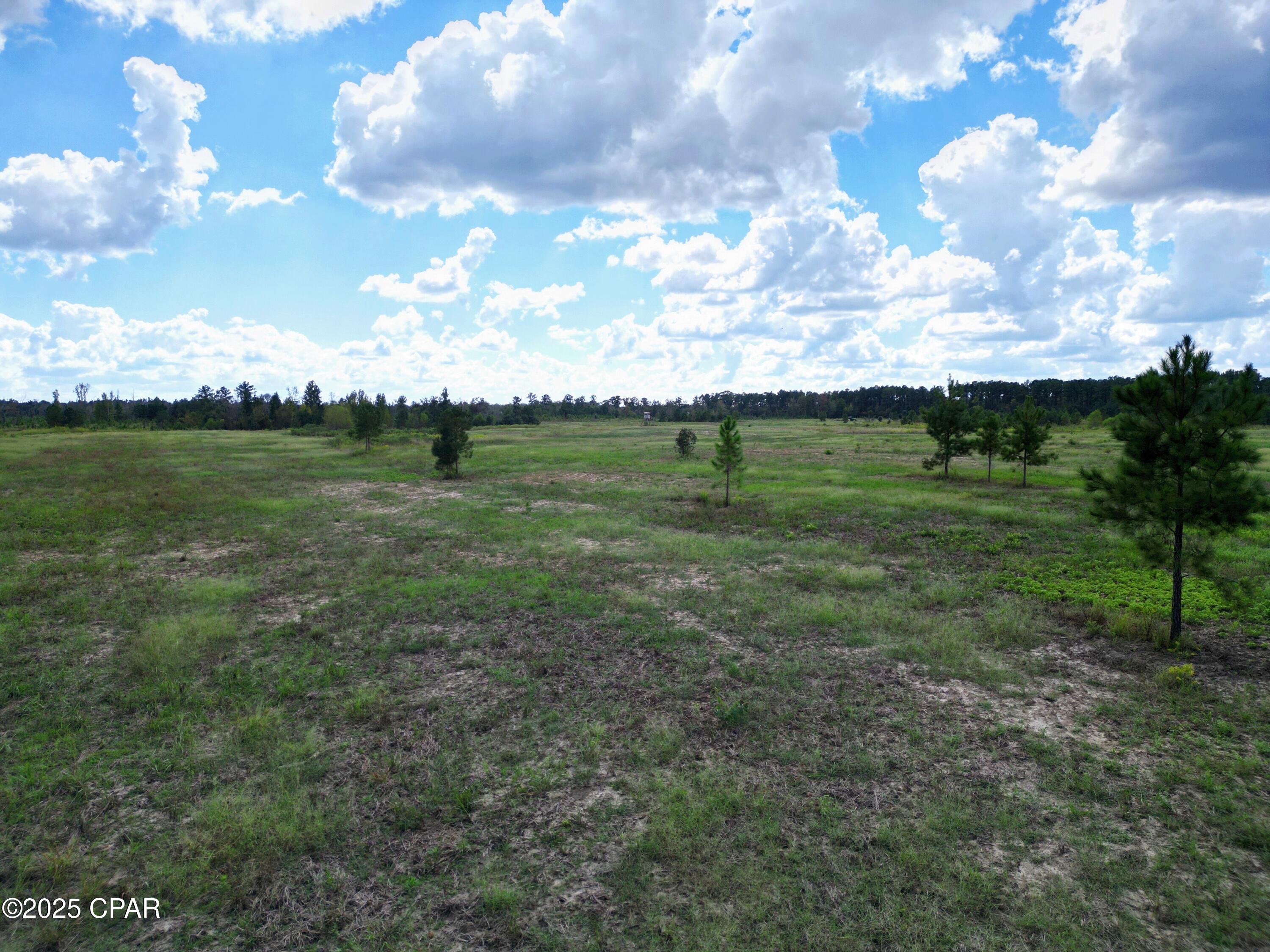 Image 13 For 000 River Road