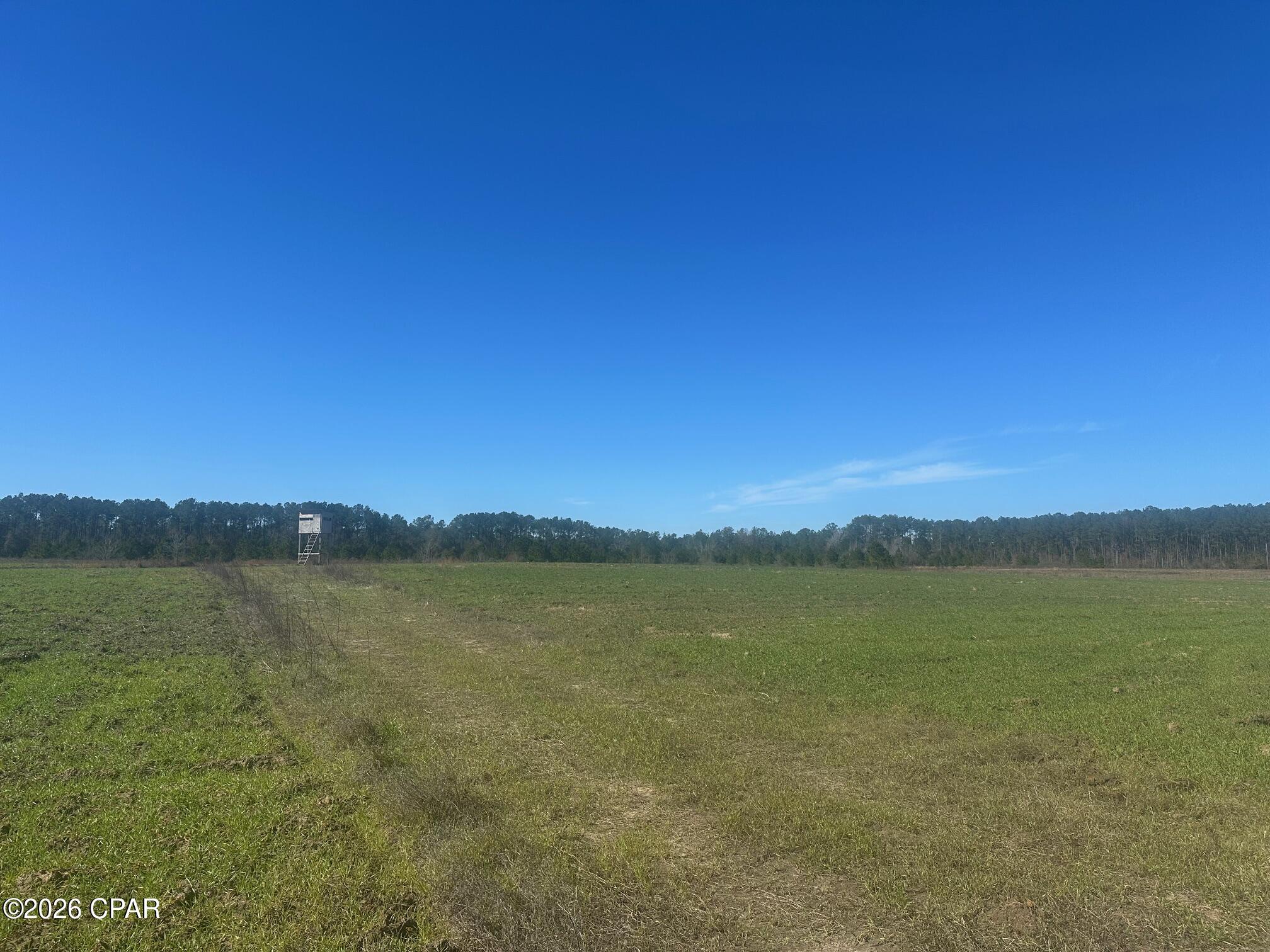 Image 21 For 000 River Road