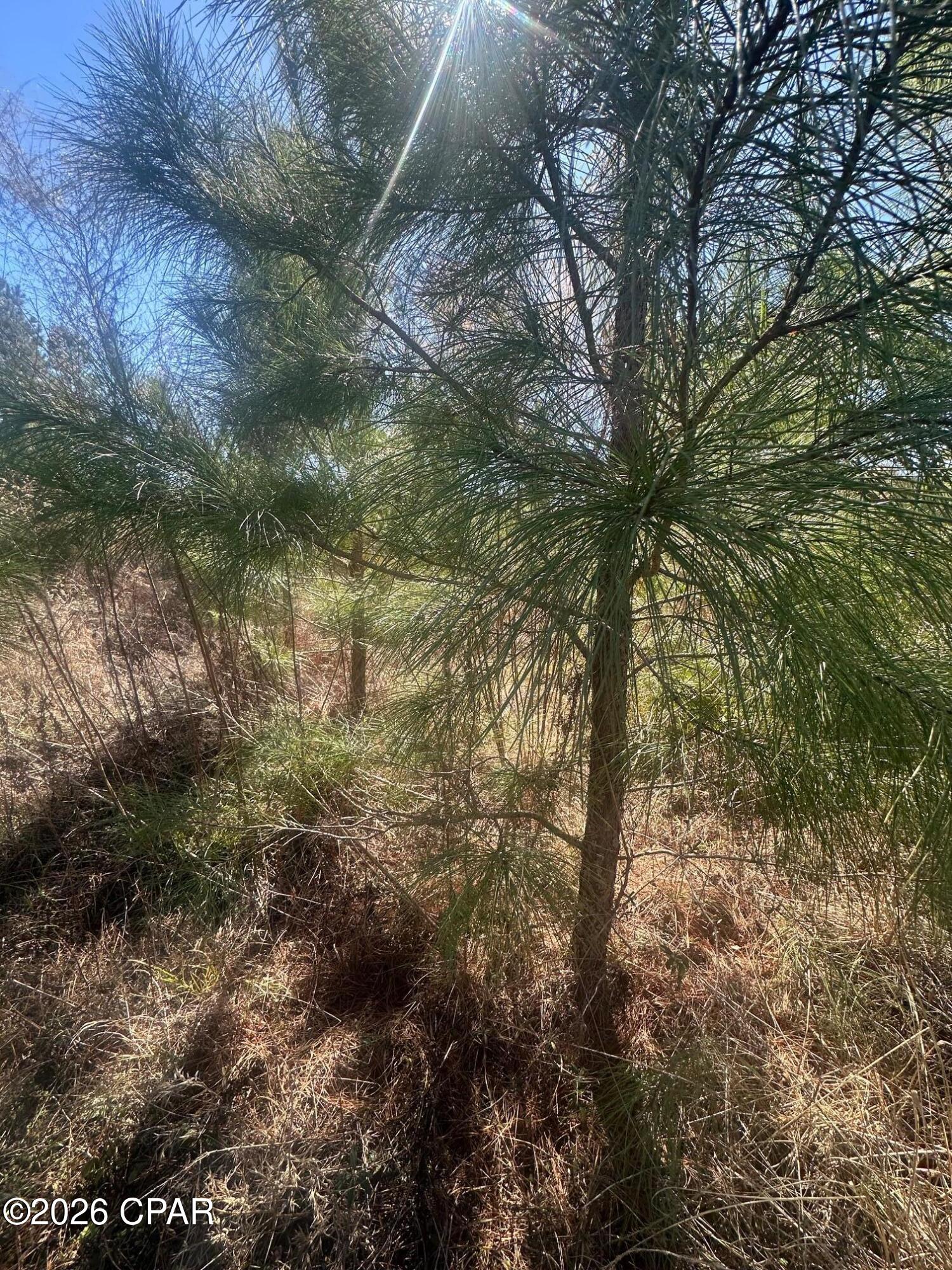 Image 22 For 000 River Road