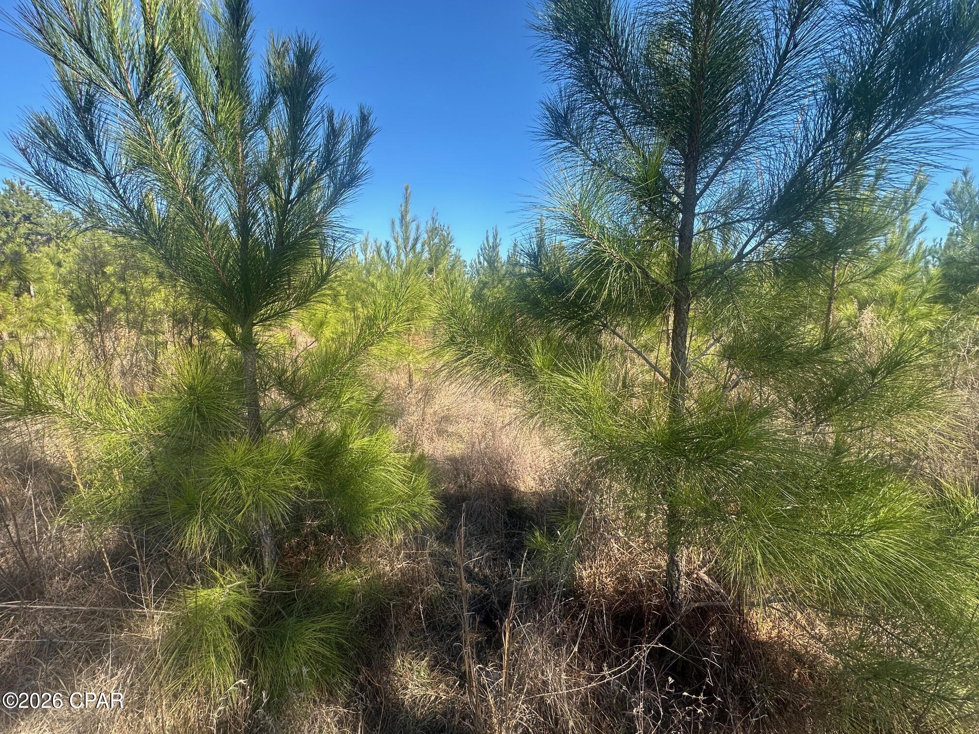 Image 23 For 000 River Road