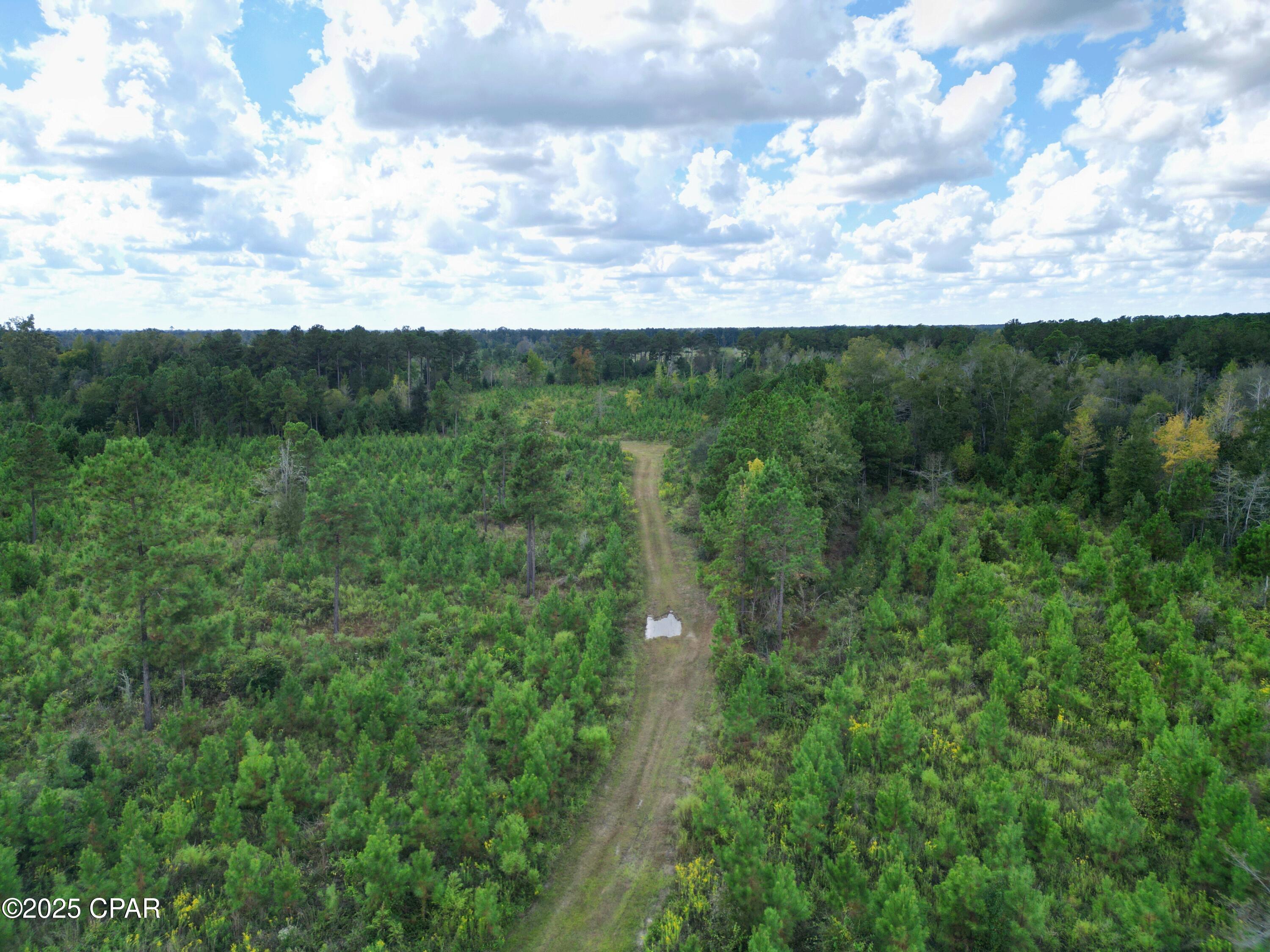 Image 8 For 000 River Road