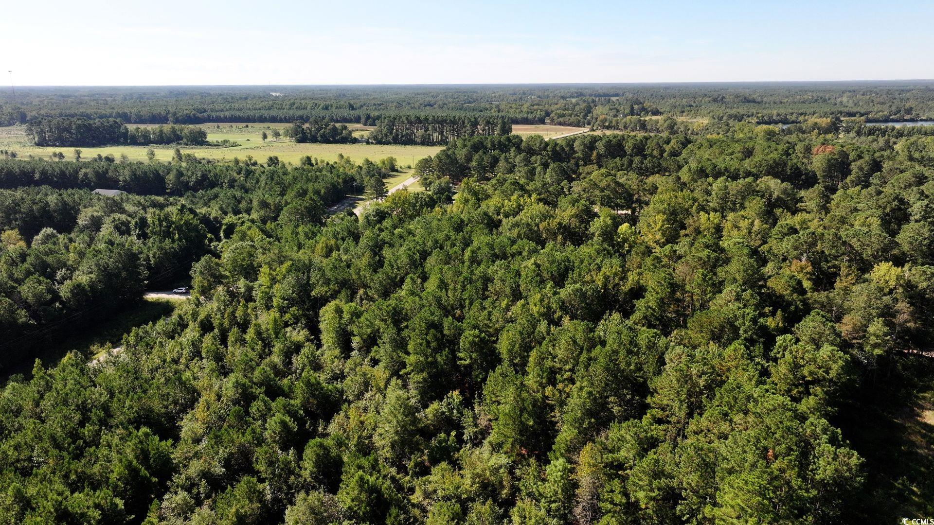 Homes for sale in Sellers, SC | 0 Bass Mill Rd, Sellers, SC 29592 | MLS# 2525159