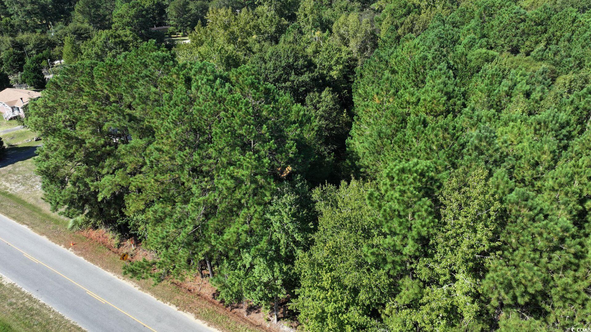 Homes for sale in Sellers, SC | 0 Bass Mill Rd, Sellers, SC 29592 | MLS# 2525159