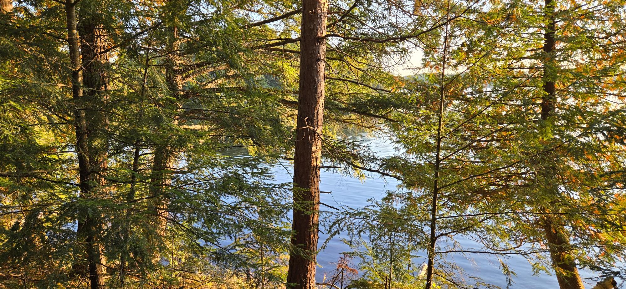 Armour Lake Property Lot 1 Bartsch Rd Photo 1