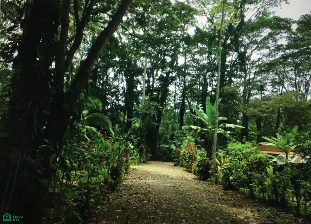0 bed Land For Sale in Talamanca, Limon - 1