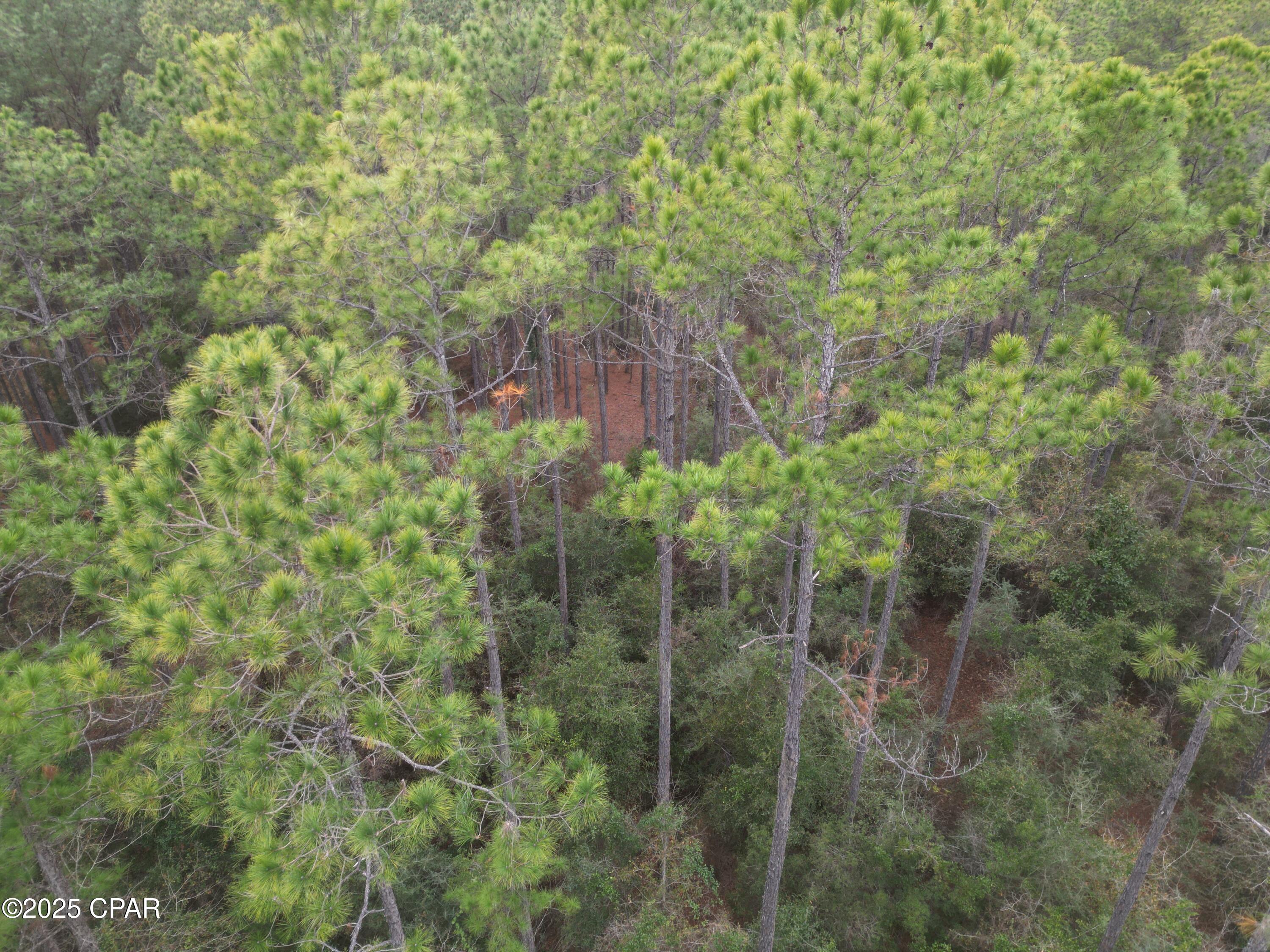 Image 2 For 0010 Hawthorne Trail