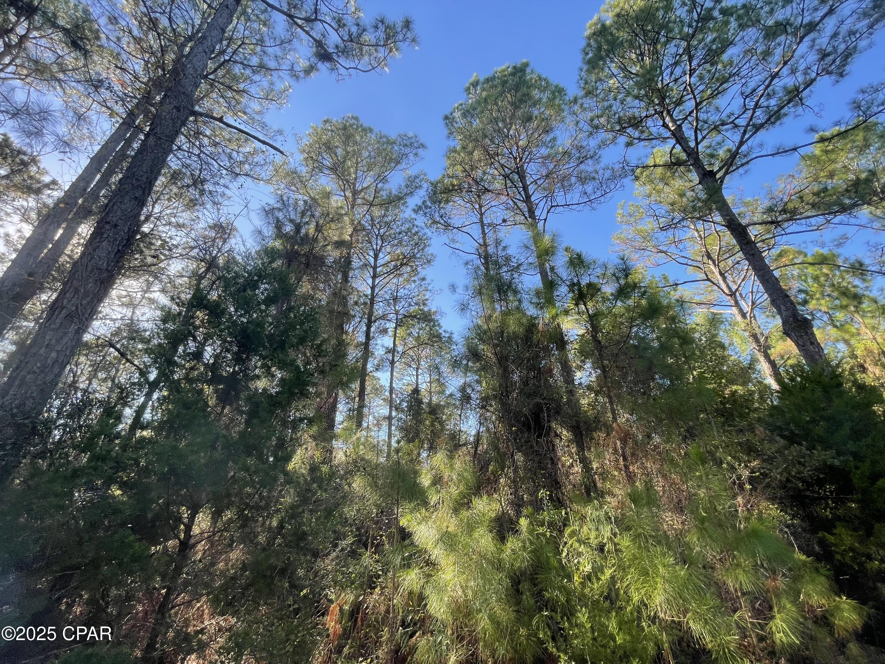 Listing photo id 8 for 0010 Hawthorne Trail