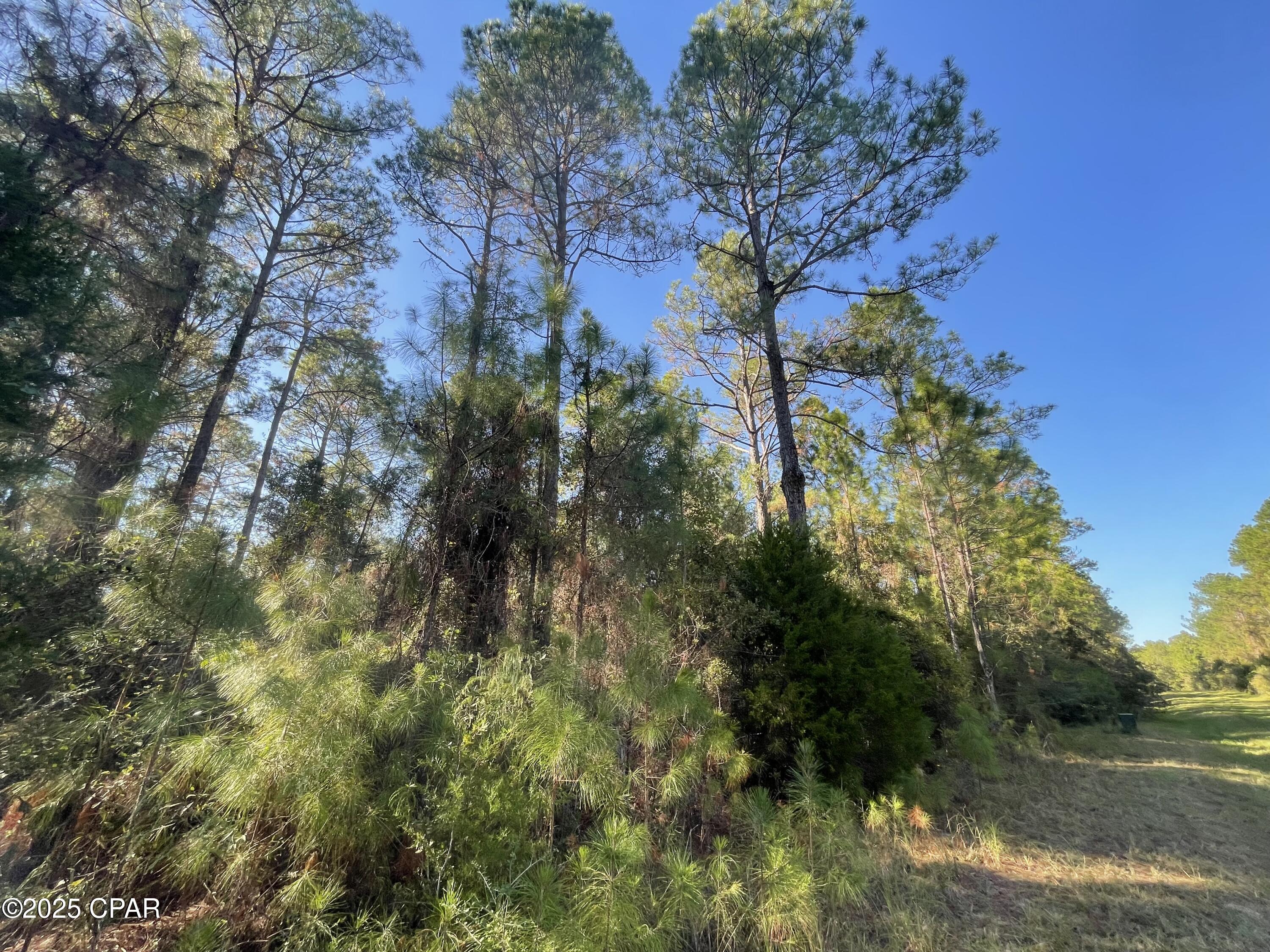 Image 9 For 0010 Hawthorne Trail