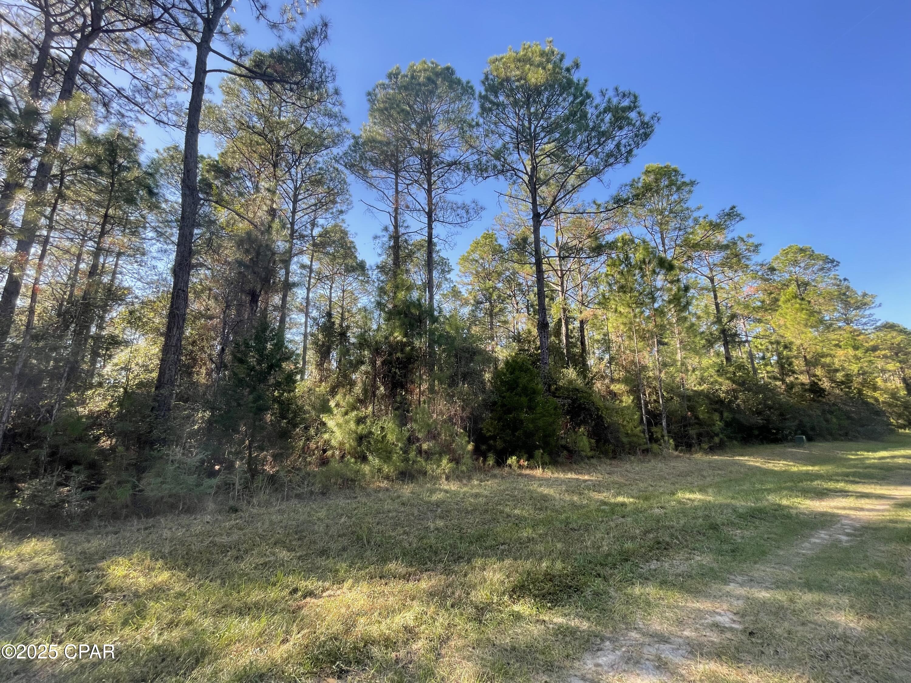 Details for 0020 Hawthorne Trail, Bonifay, FL 32425