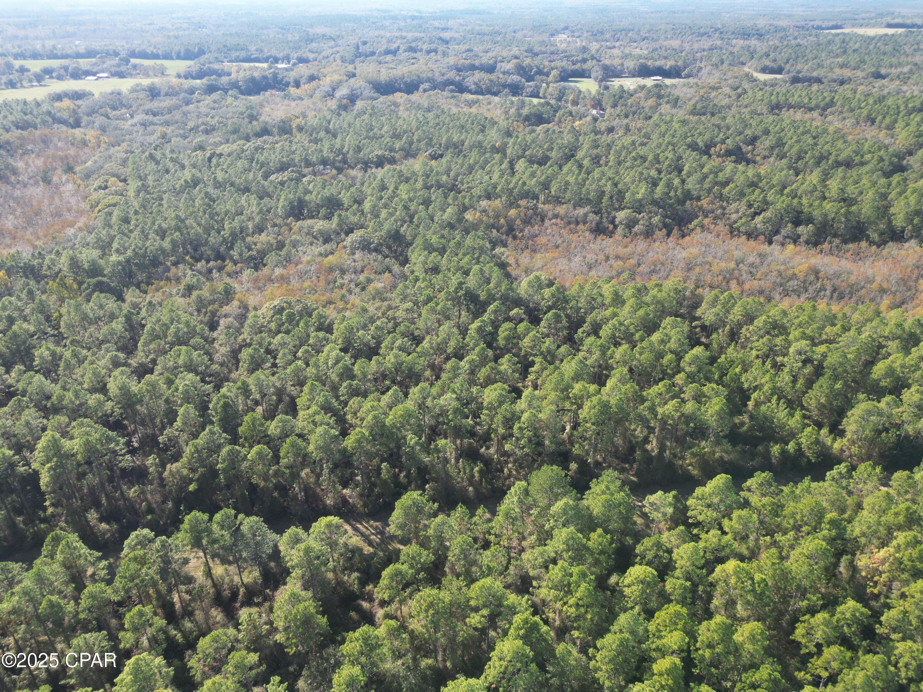 Image 3 For 0020 Hawthorne Trail