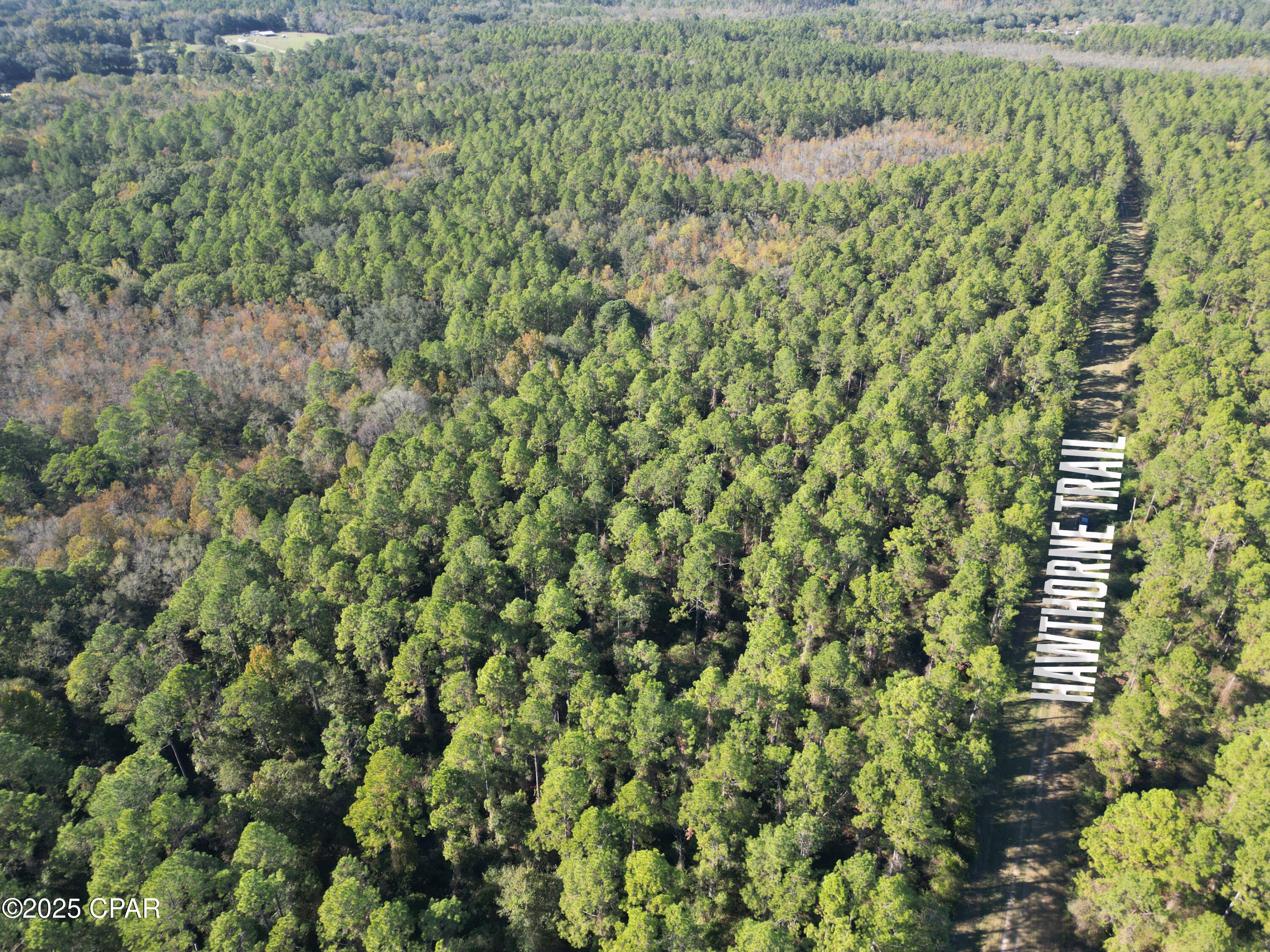 Image 5 For 0020 Hawthorne Trail