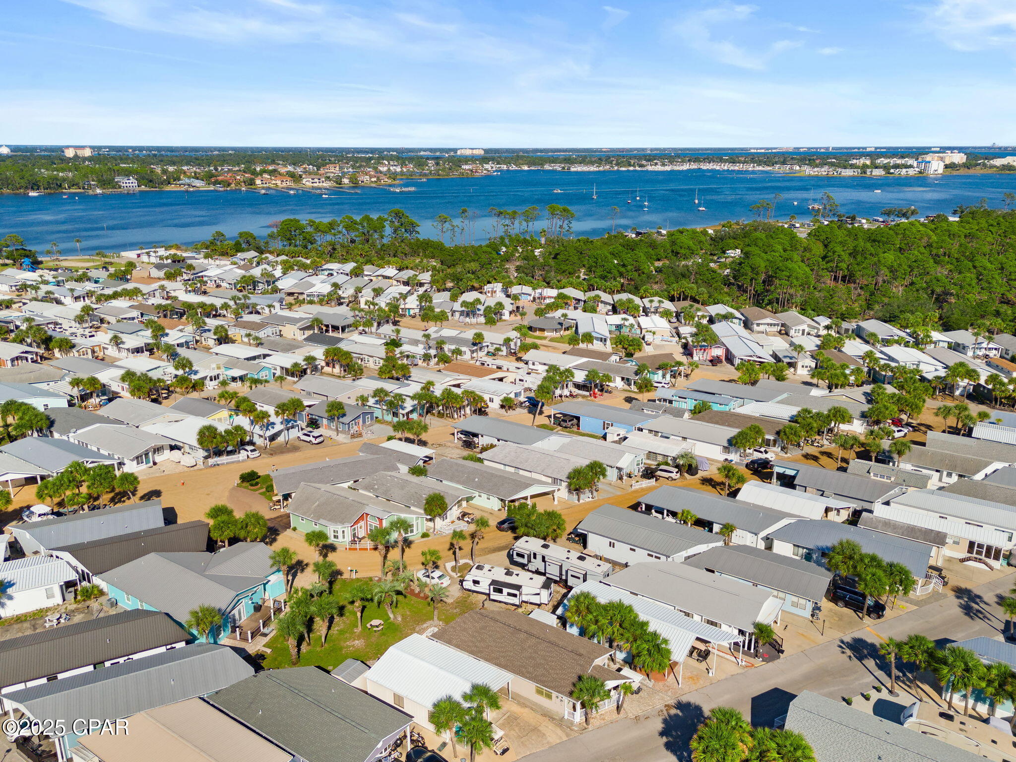 Image 8 For 207 Squid Lane