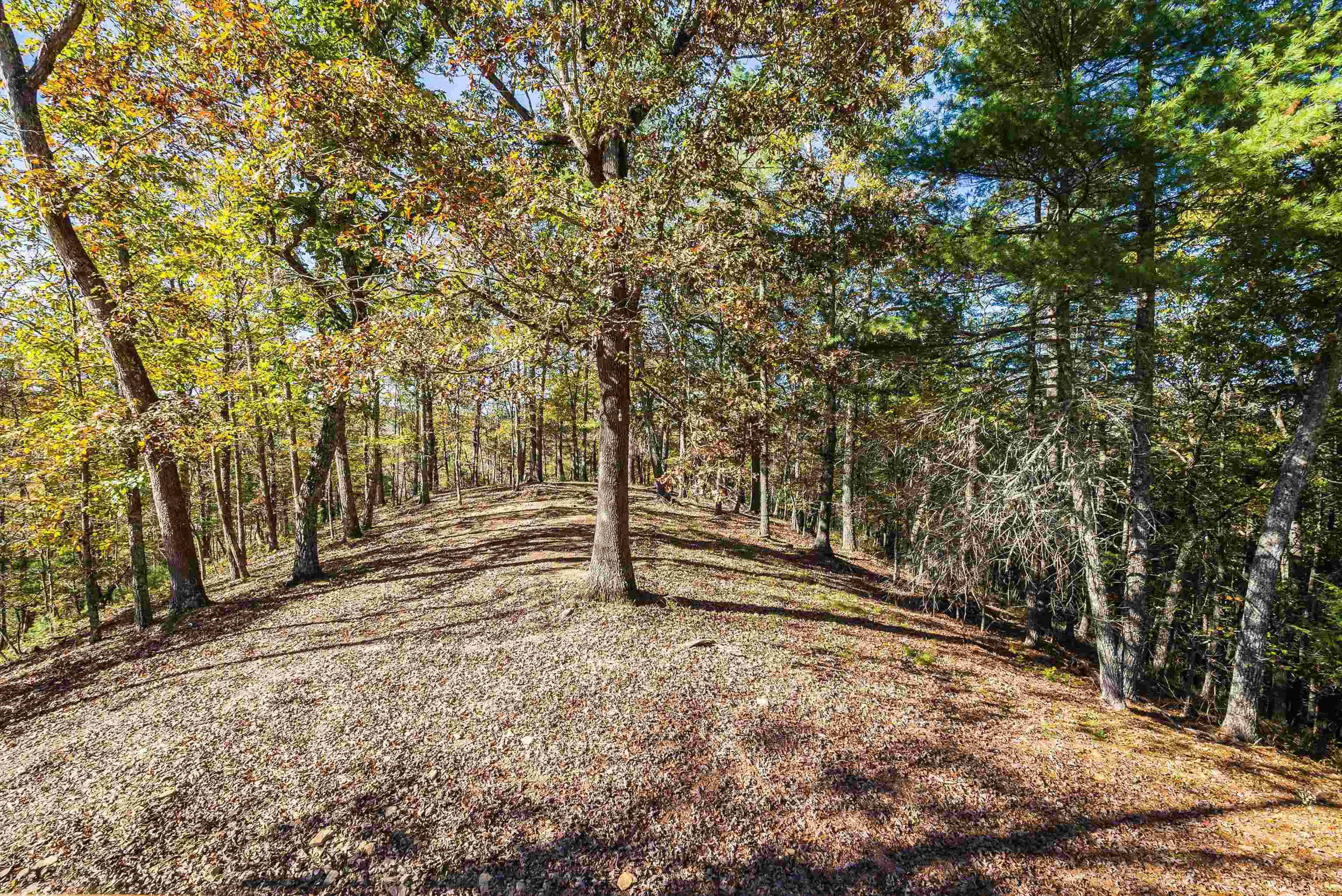 65 Mountain Deer Run