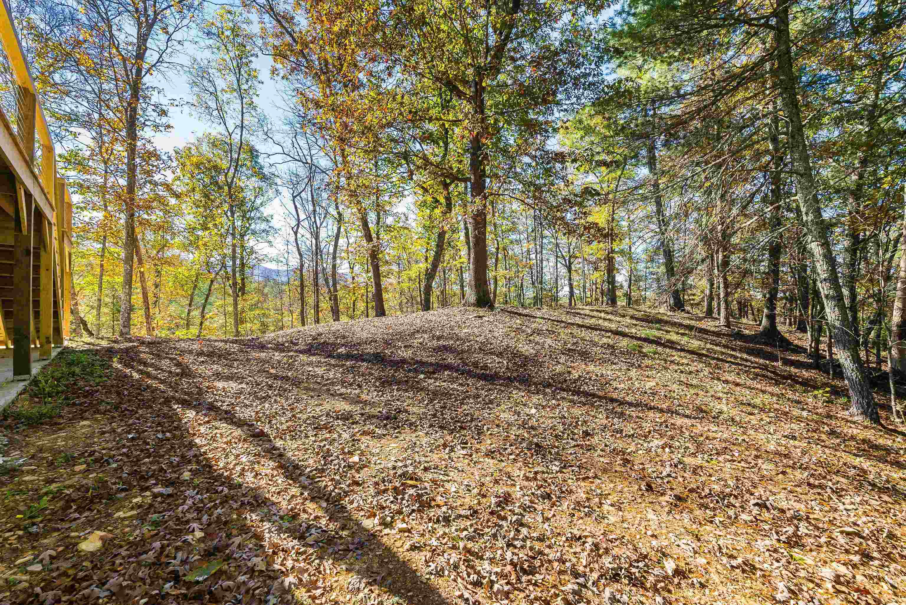 65 Mountain Deer Run