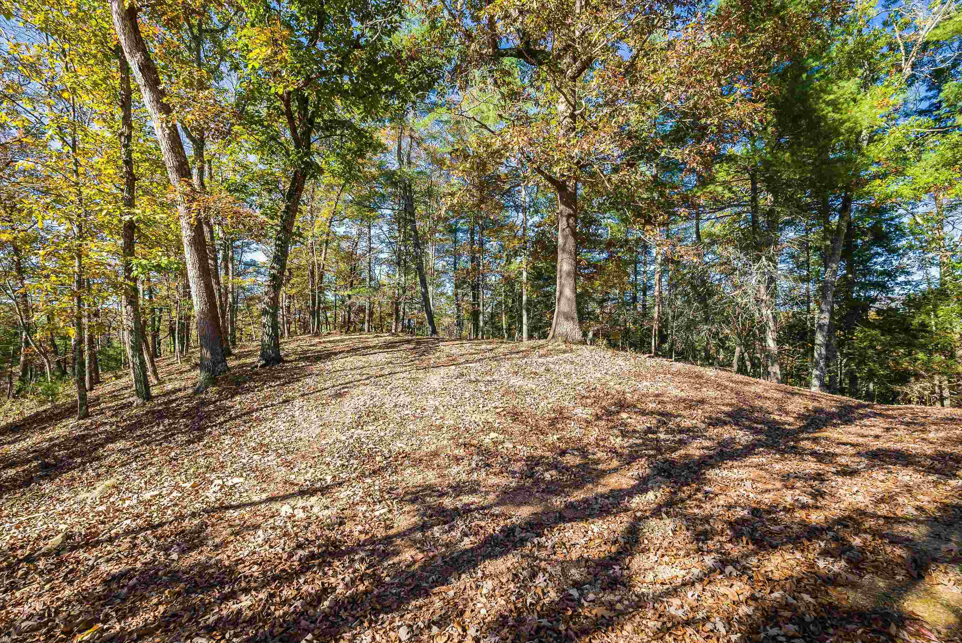 65 Mountain Deer Run