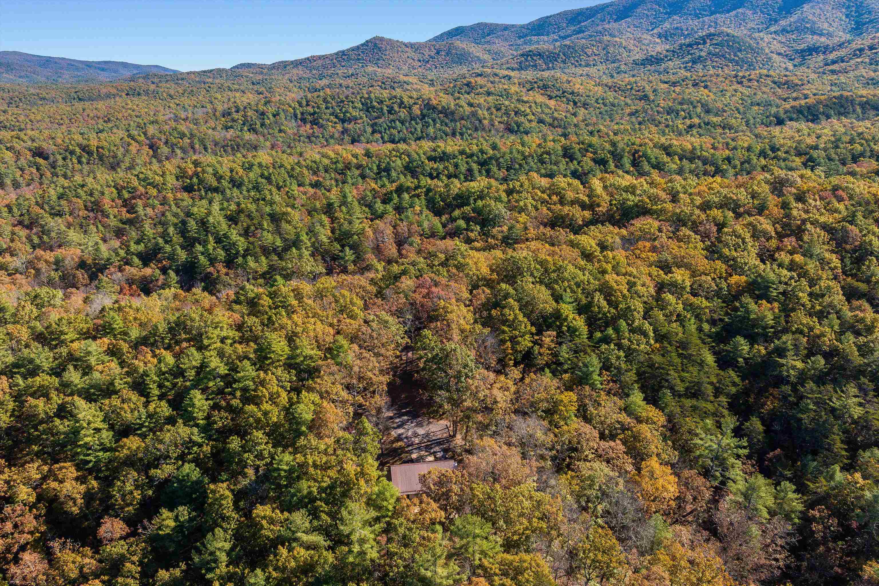 65 Mountain Deer Run