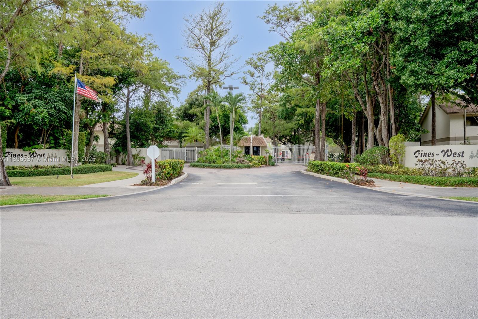 Pines Of Oakland Forest W