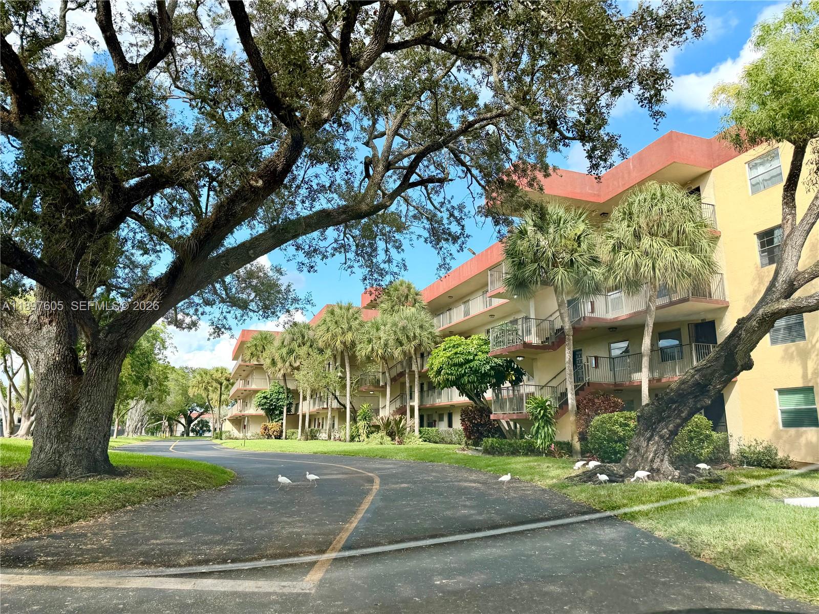 Cypress Chase North No 1