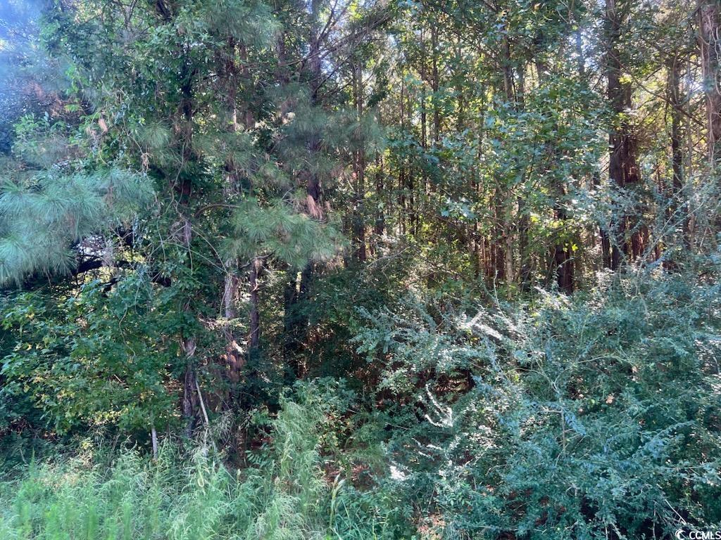 TBD Mill Berry Ln. Conway, SC 29526