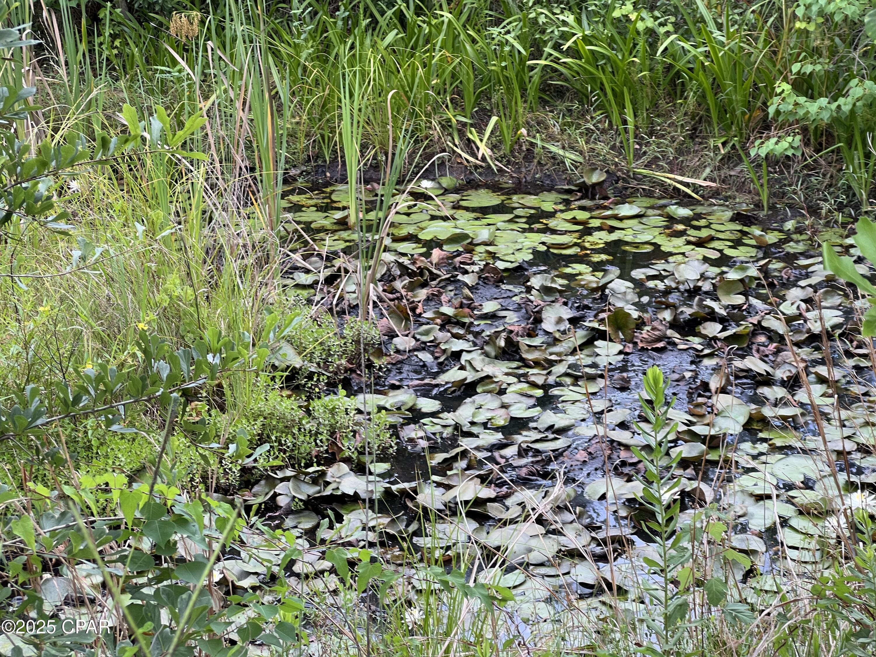 Image 4 For 6807 John Pitts Road