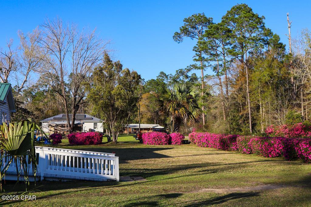 Image 26 For 6641 Cedar Street